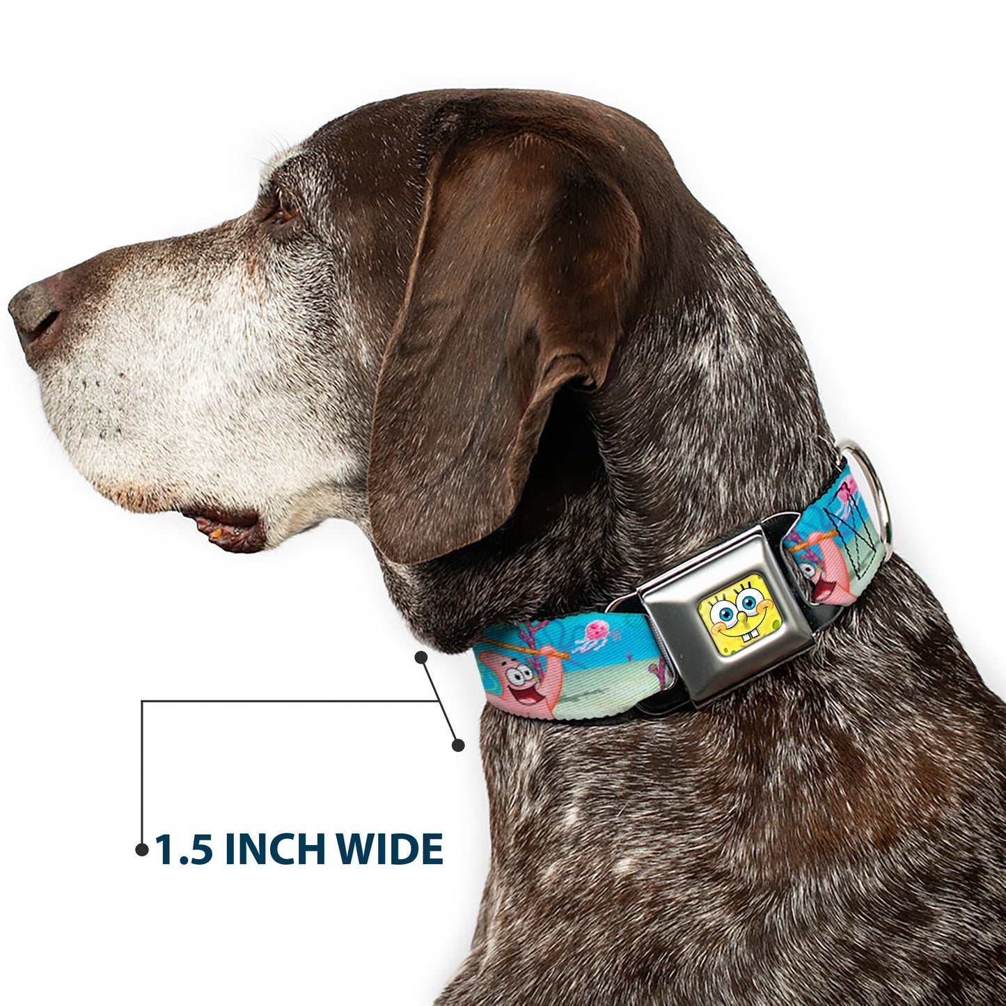 SpongeBob SquarePants Dog Collar 3D Face Jellyfishing Seatbelt Buckle - Paramount Shop