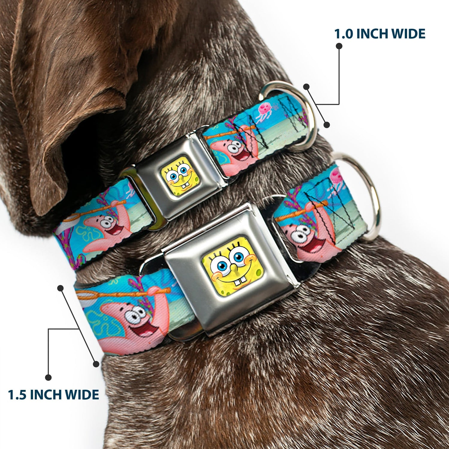 SpongeBob SquarePants Dog Collar 3D Face Jellyfishing Seatbelt Buckle - Paramount Shop