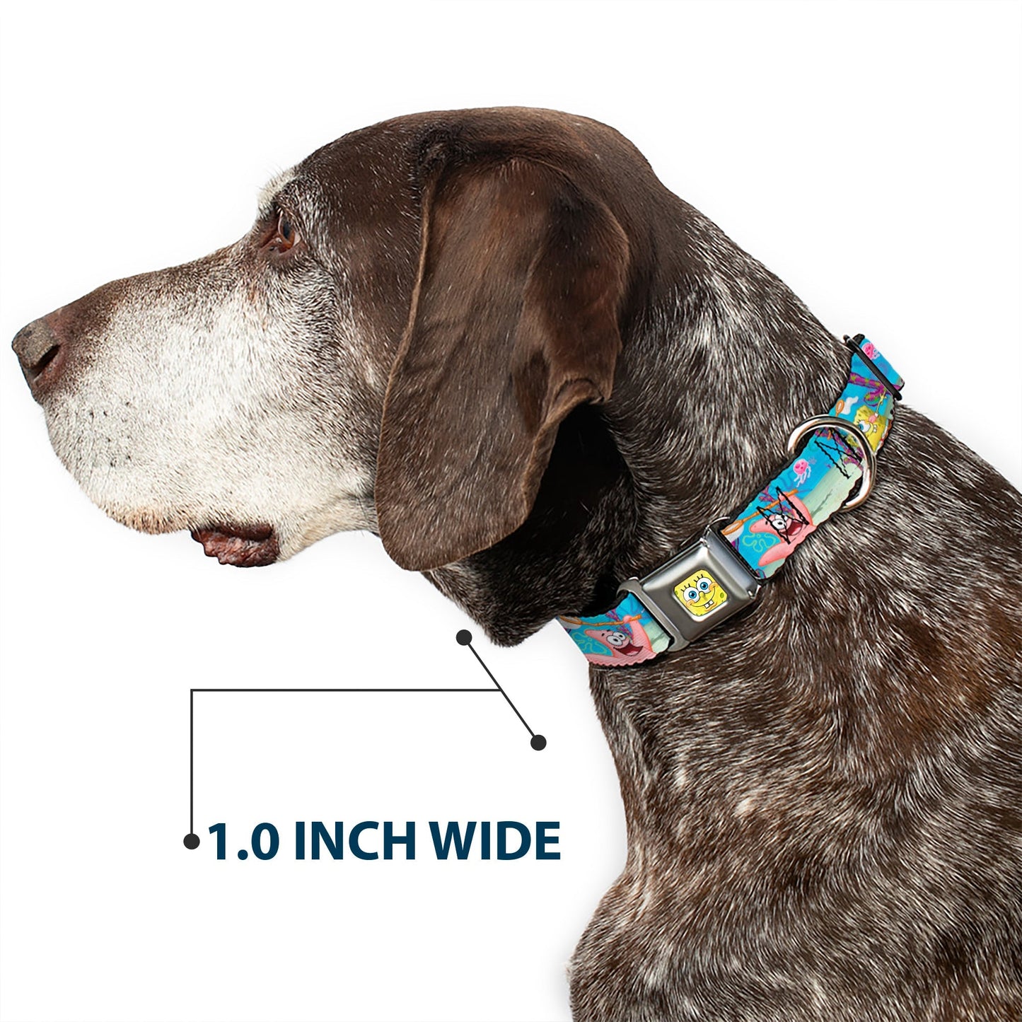 SpongeBob SquarePants Dog Collar 3D Face Jellyfishing Seatbelt Buckle - Paramount Shop