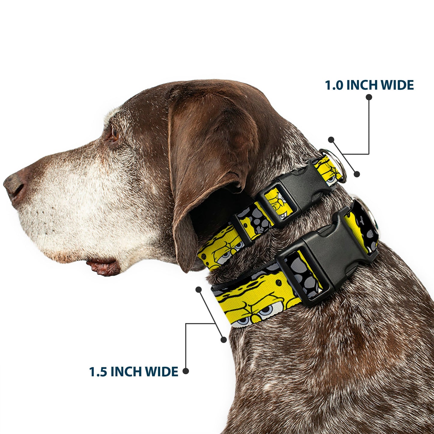SpongeBob SquarePants Dog Collar 4 - CLOSE - UP Expressions Crackle Black/Gray/Yellow - Paramount Shop