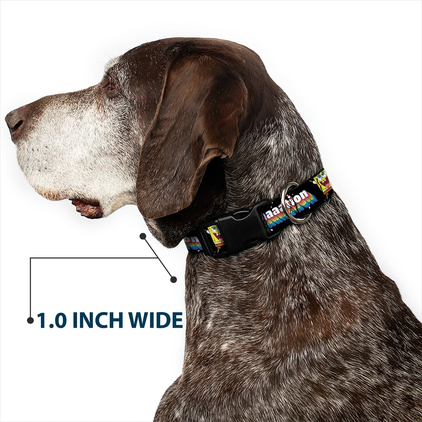 SpongeBob SquarePants Dog Collar Arms Up Rainbow Pose IMAGINAAATION Durable Polyester Black/Multi - Paramount Shop