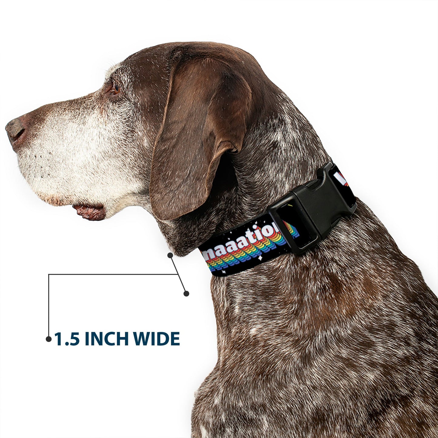 SpongeBob SquarePants Dog Collar Arms Up Rainbow Pose IMAGINAAATION Durable Polyester Black/Multi - Paramount Shop