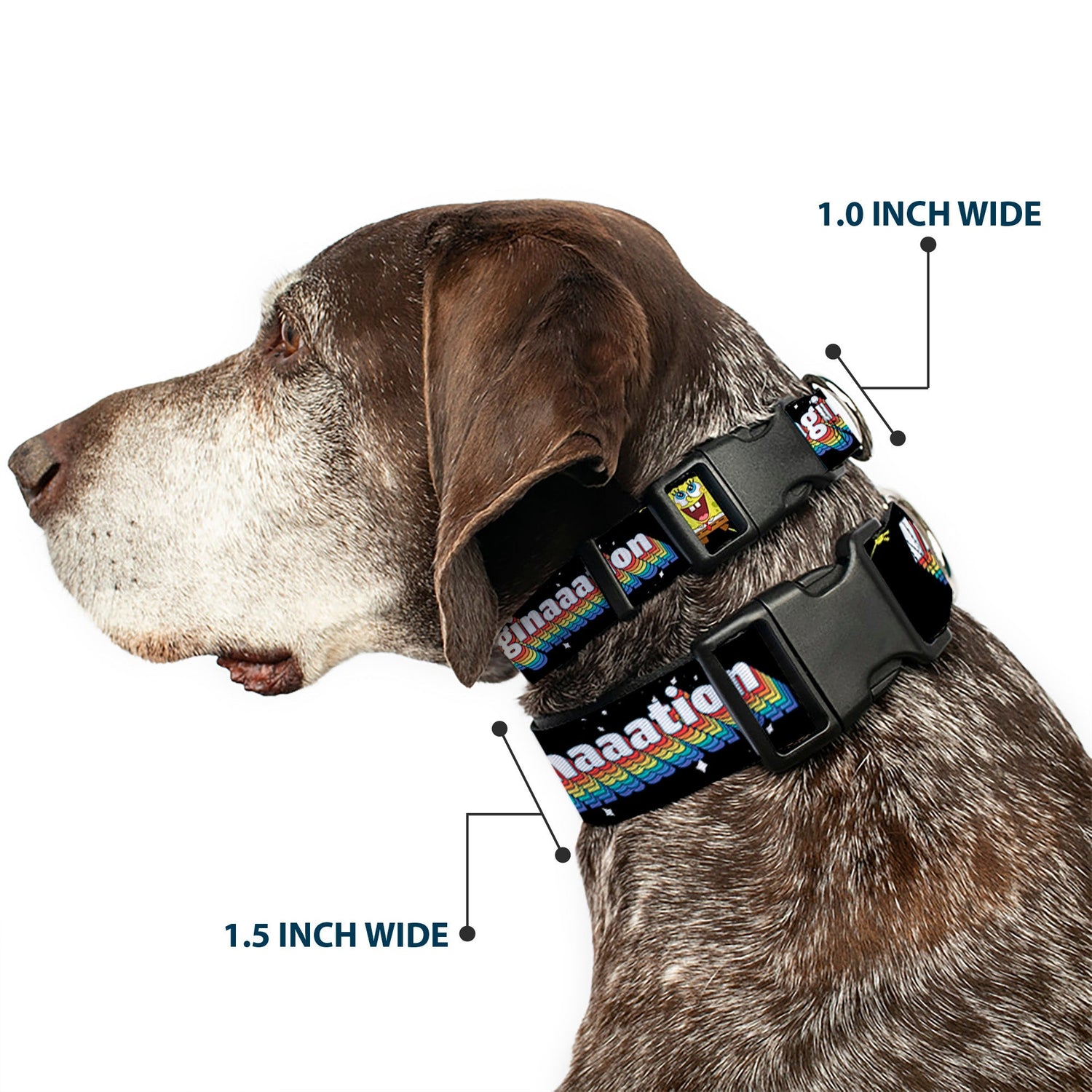 SpongeBob SquarePants Dog Collar Arms Up Rainbow Pose IMAGINAAATION Durable Polyester Black/Multi - Paramount Shop