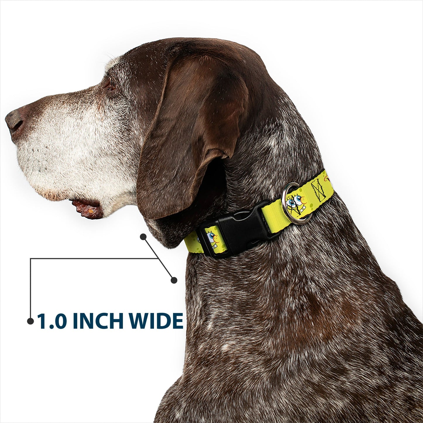SpongeBob SquarePants Dog Collar Expressions Plastic Clip Yellow - Paramount Shop