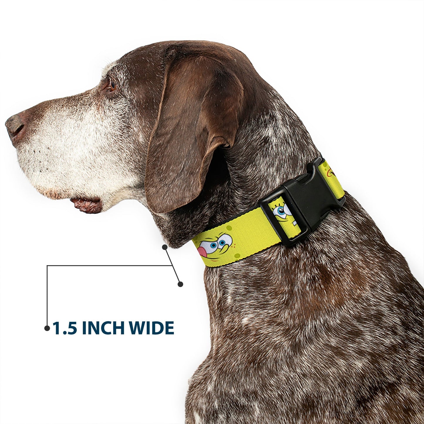 SpongeBob SquarePants Dog Collar Expressions Plastic Clip Yellow - Paramount Shop