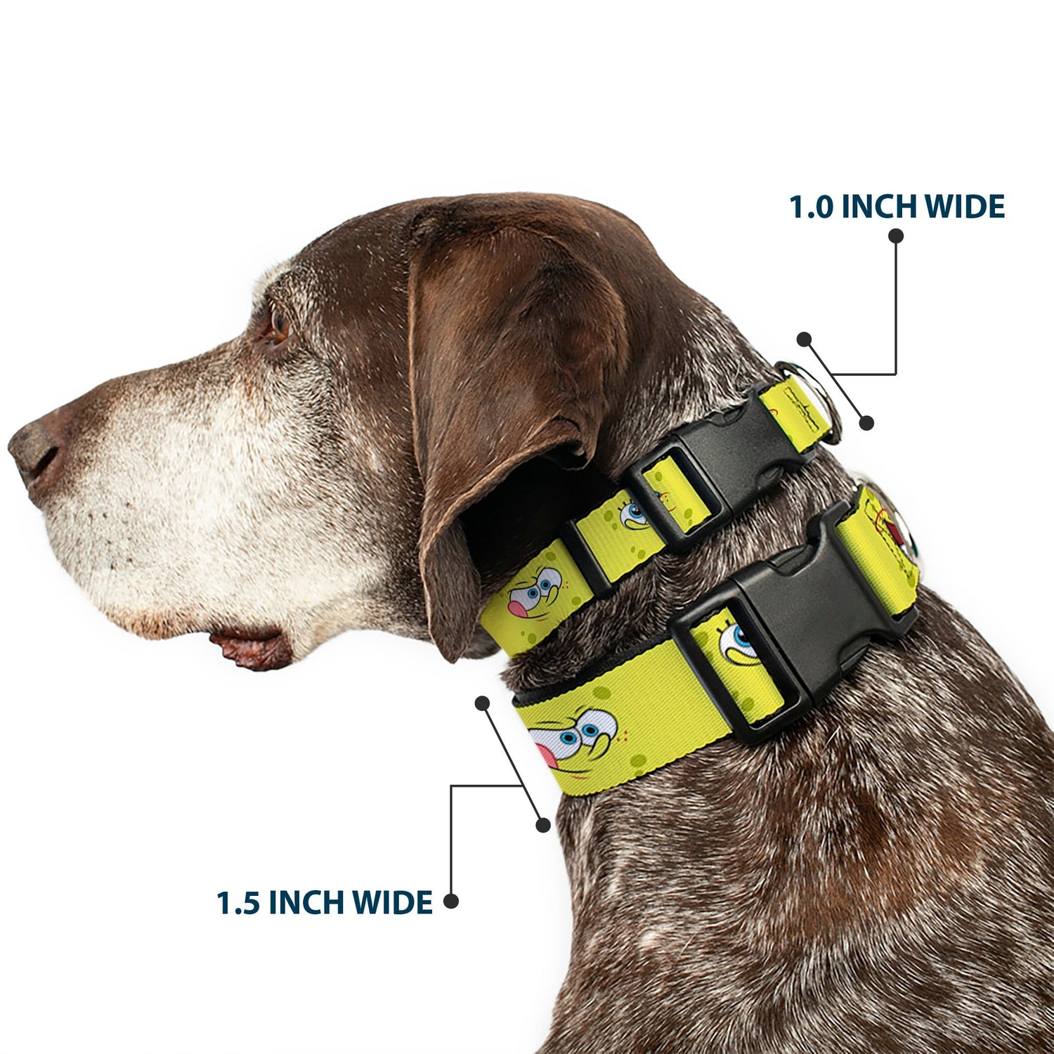 SpongeBob SquarePants Dog Collar Expressions Plastic Clip Yellow - Paramount Shop