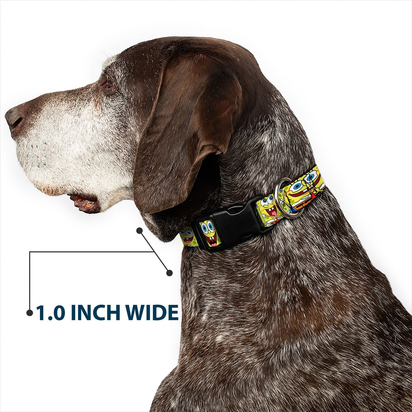 SpongeBob SquarePants Dog Collar Expressions Stripe Plastic Buckle Adjustable Blue - Paramount Shop
