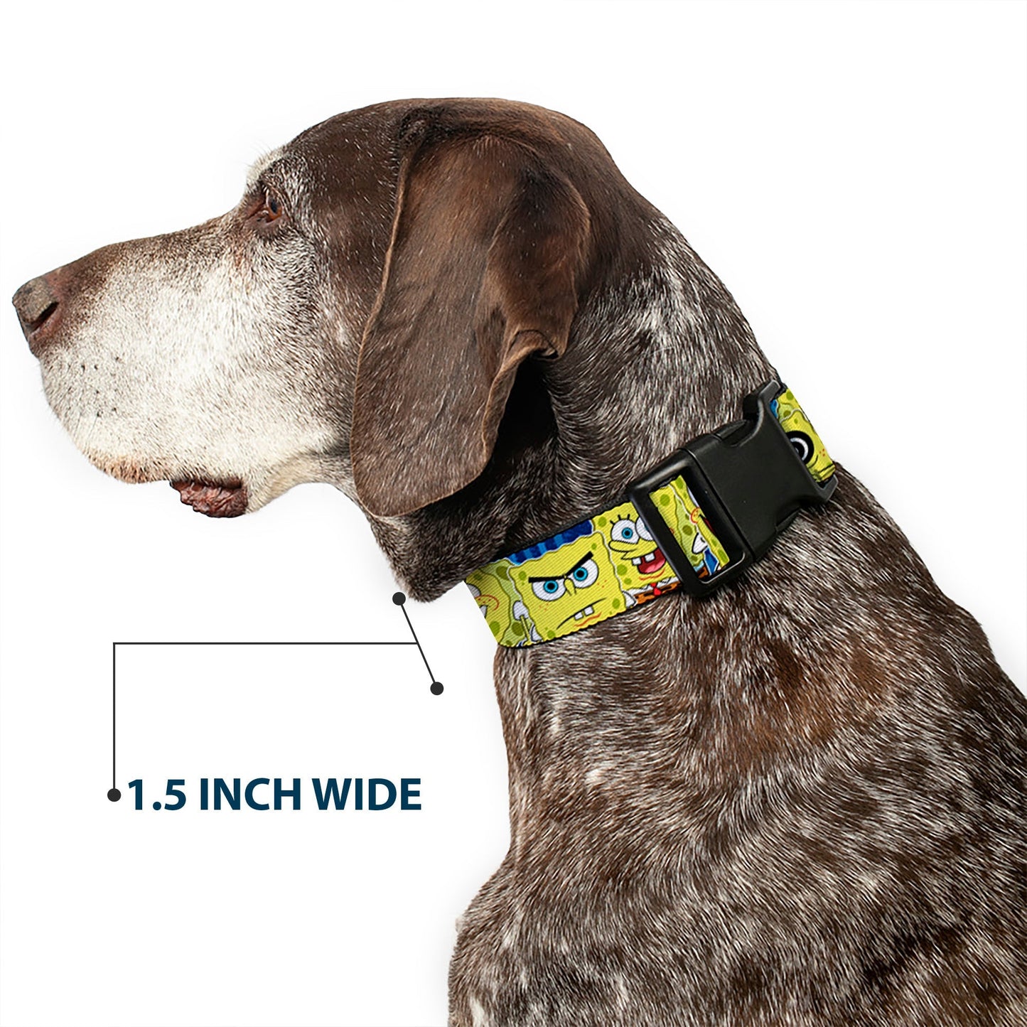 SpongeBob SquarePants Dog Collar Expressions Stripe Plastic Buckle Adjustable Blue - Paramount Shop