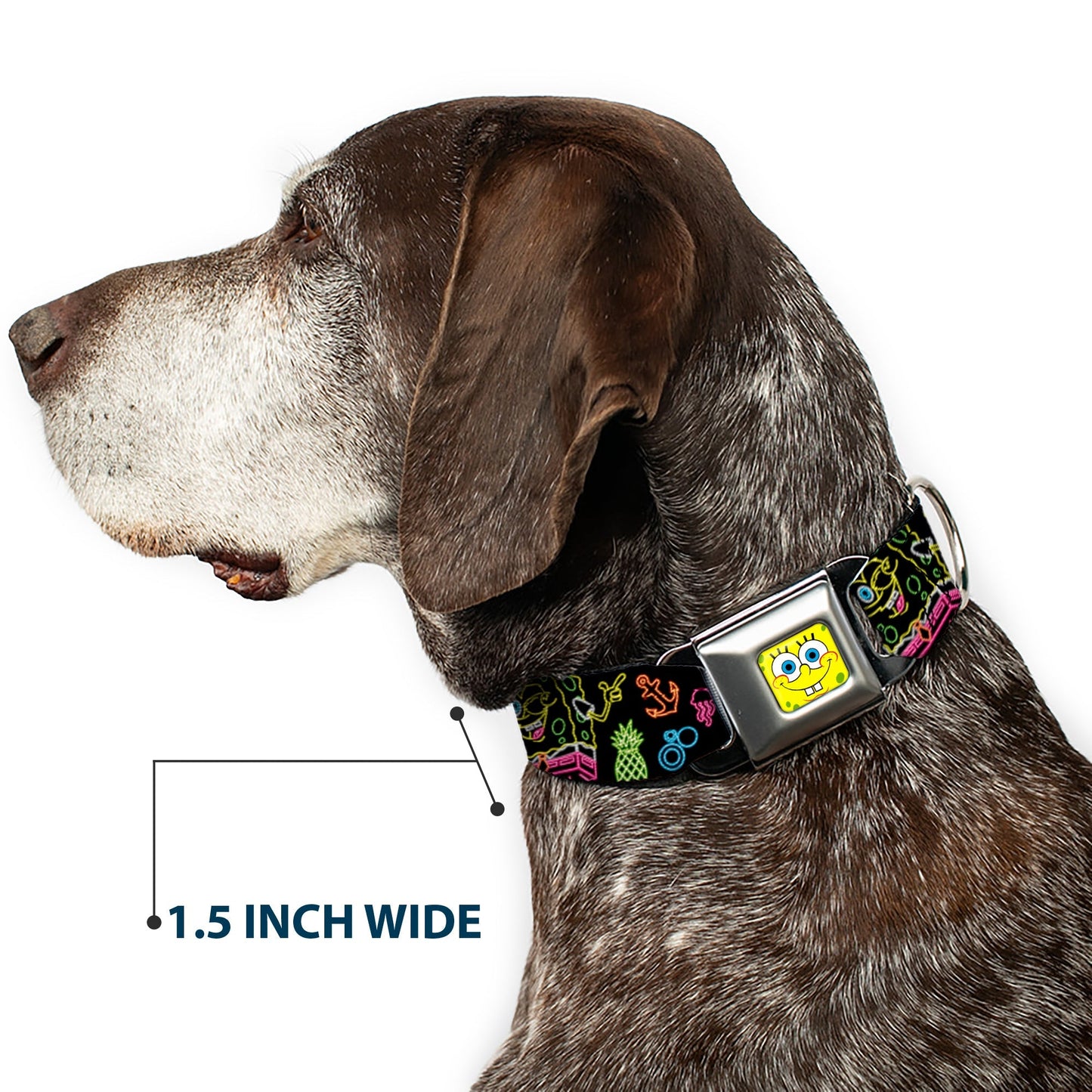 SpongeBob SquarePants Dog Collar Face Close - Up & Electric Poses Miniature Seatbelt Buckle Black Multi - Paramount Shop