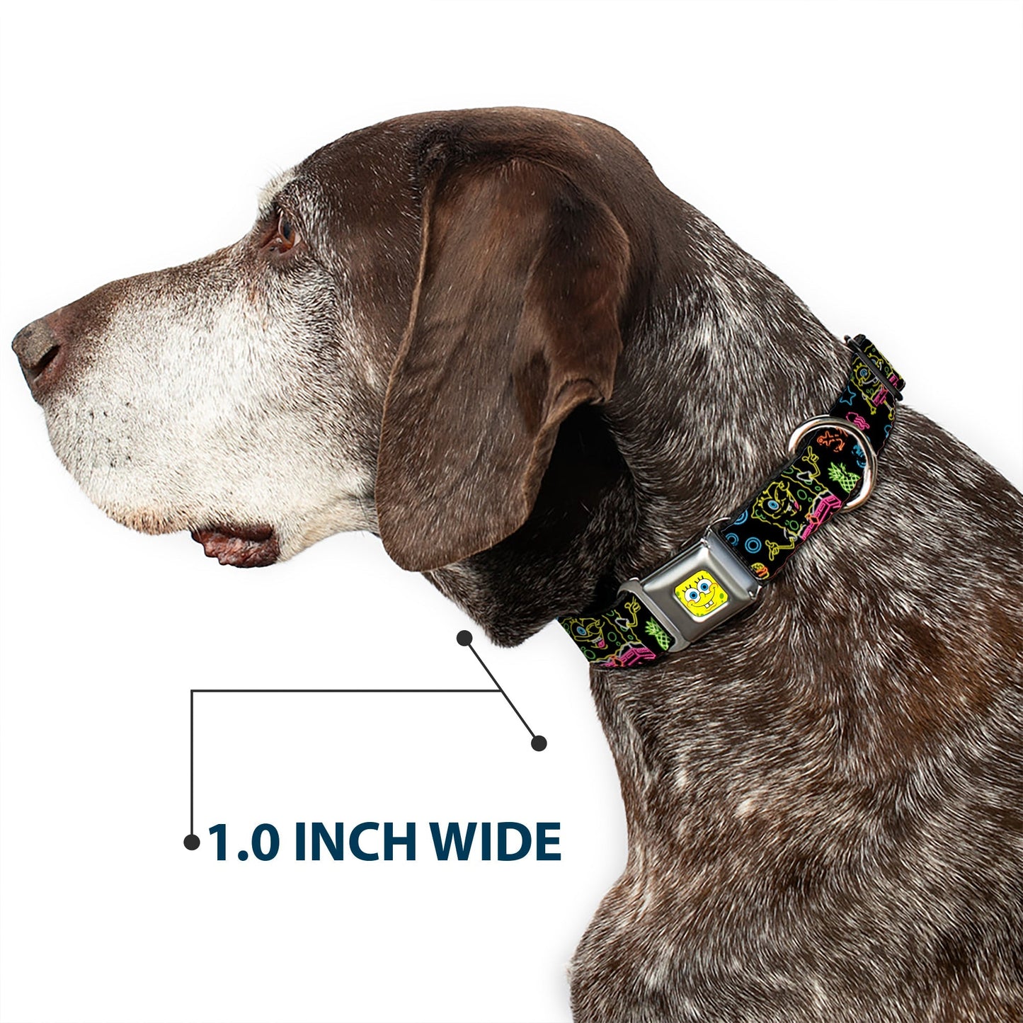 SpongeBob SquarePants Dog Collar Face Close - Up & Electric Poses Miniature Seatbelt Buckle Black Multi - Paramount Shop