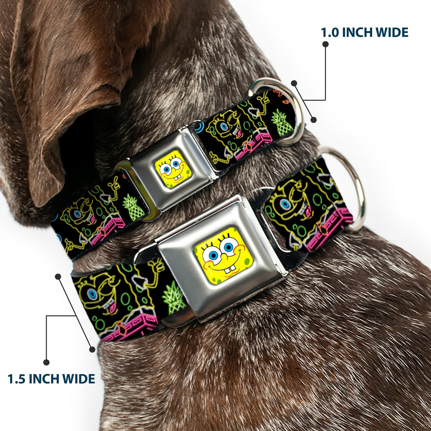 SpongeBob SquarePants Dog Collar Face Close - Up & Electric Poses Miniature Seatbelt Buckle Black Multi - Paramount Shop
