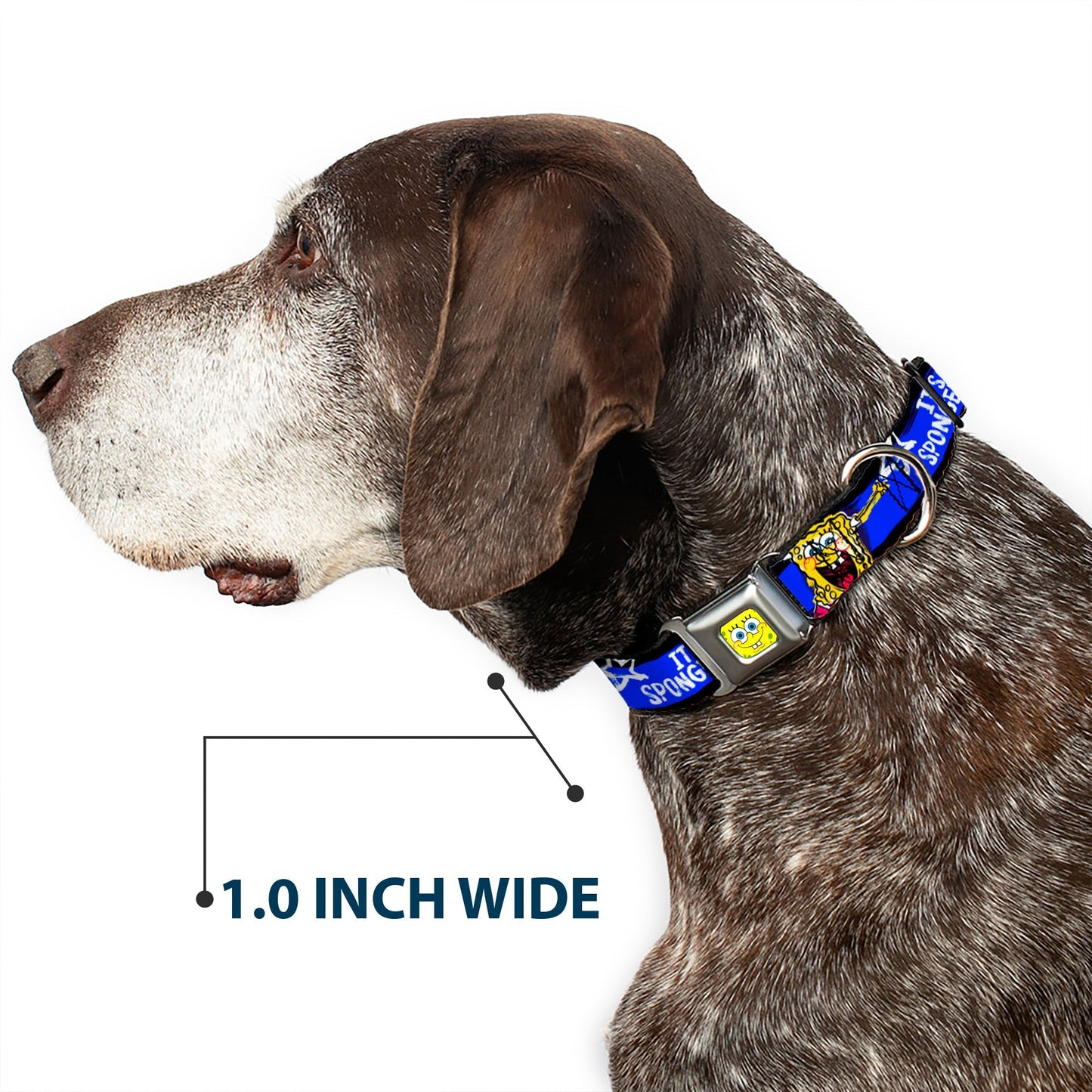 SpongeBob SquarePants Dog Collar Face Close - Up Seatbelt Buckle Black/Blue/White Stripe - Paramount Shop