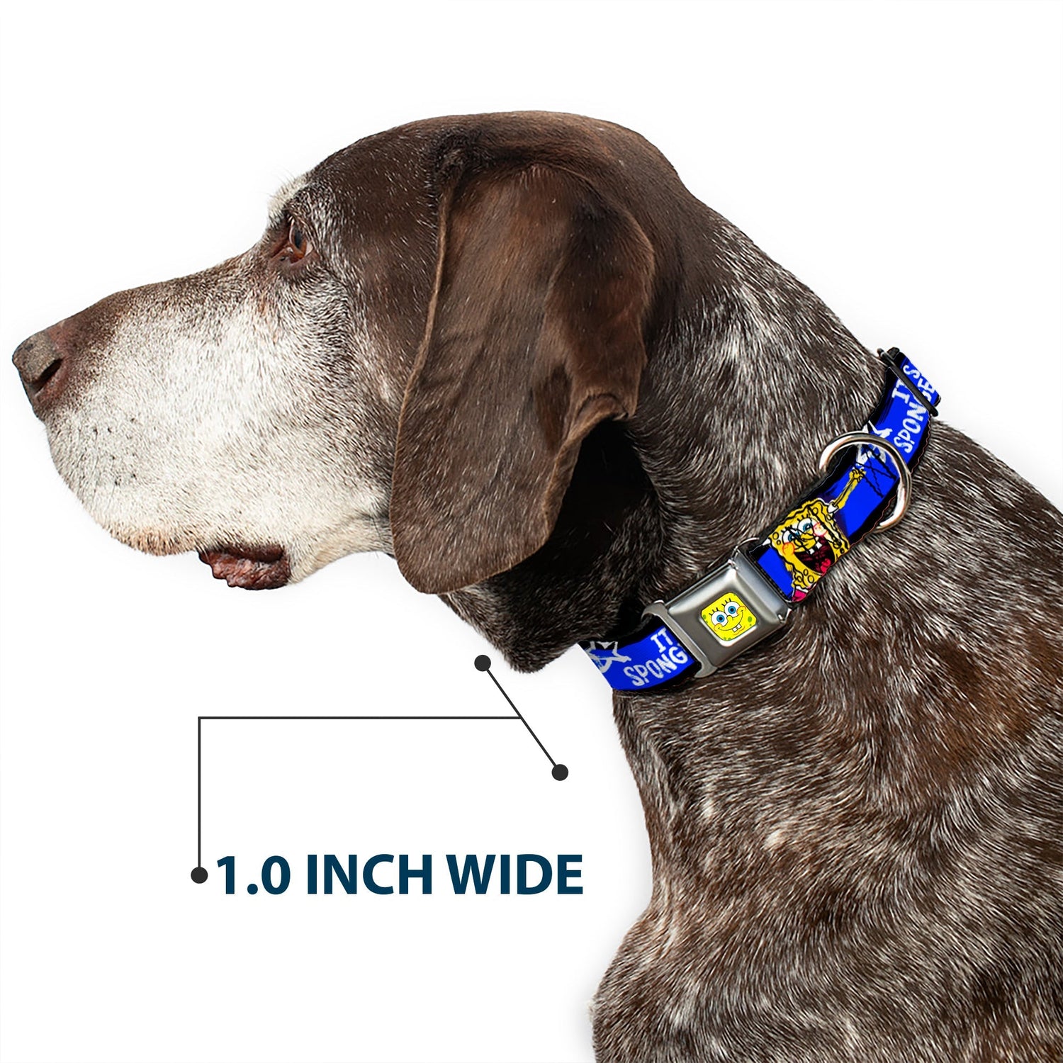 SpongeBob SquarePants Dog Collar Face Close - Up Seatbelt Buckle Black/Blue/White Stripe - Paramount Shop