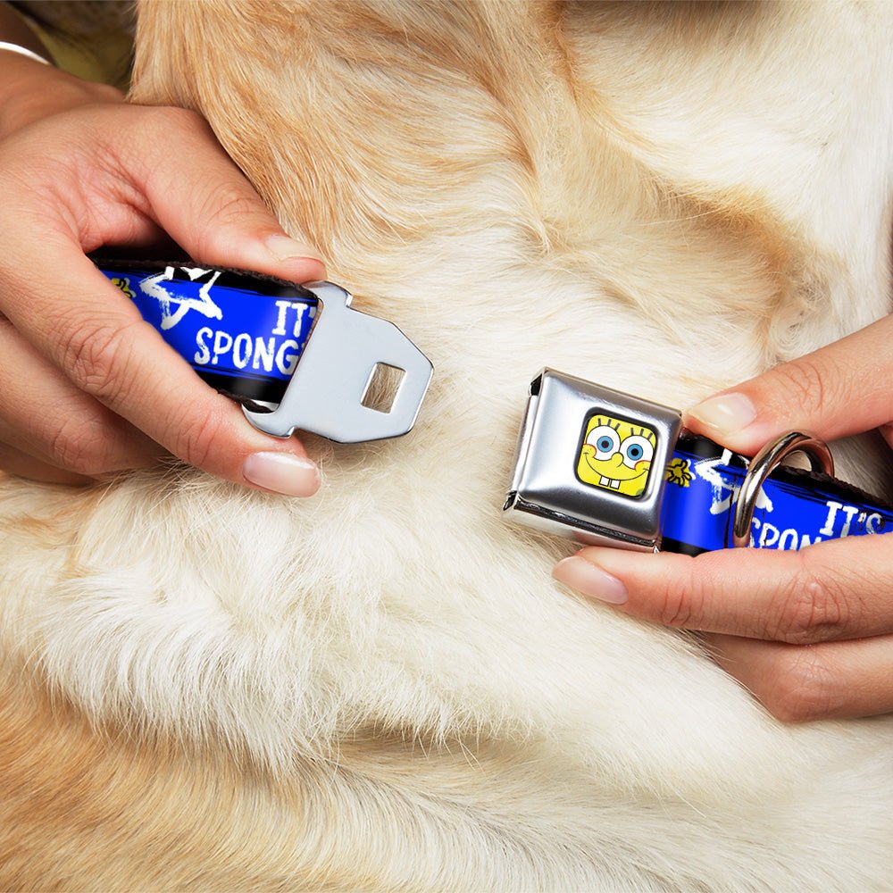 SpongeBob SquarePants Dog Collar Face Close - Up Seatbelt Buckle Black/Blue/White Stripe - Paramount Shop