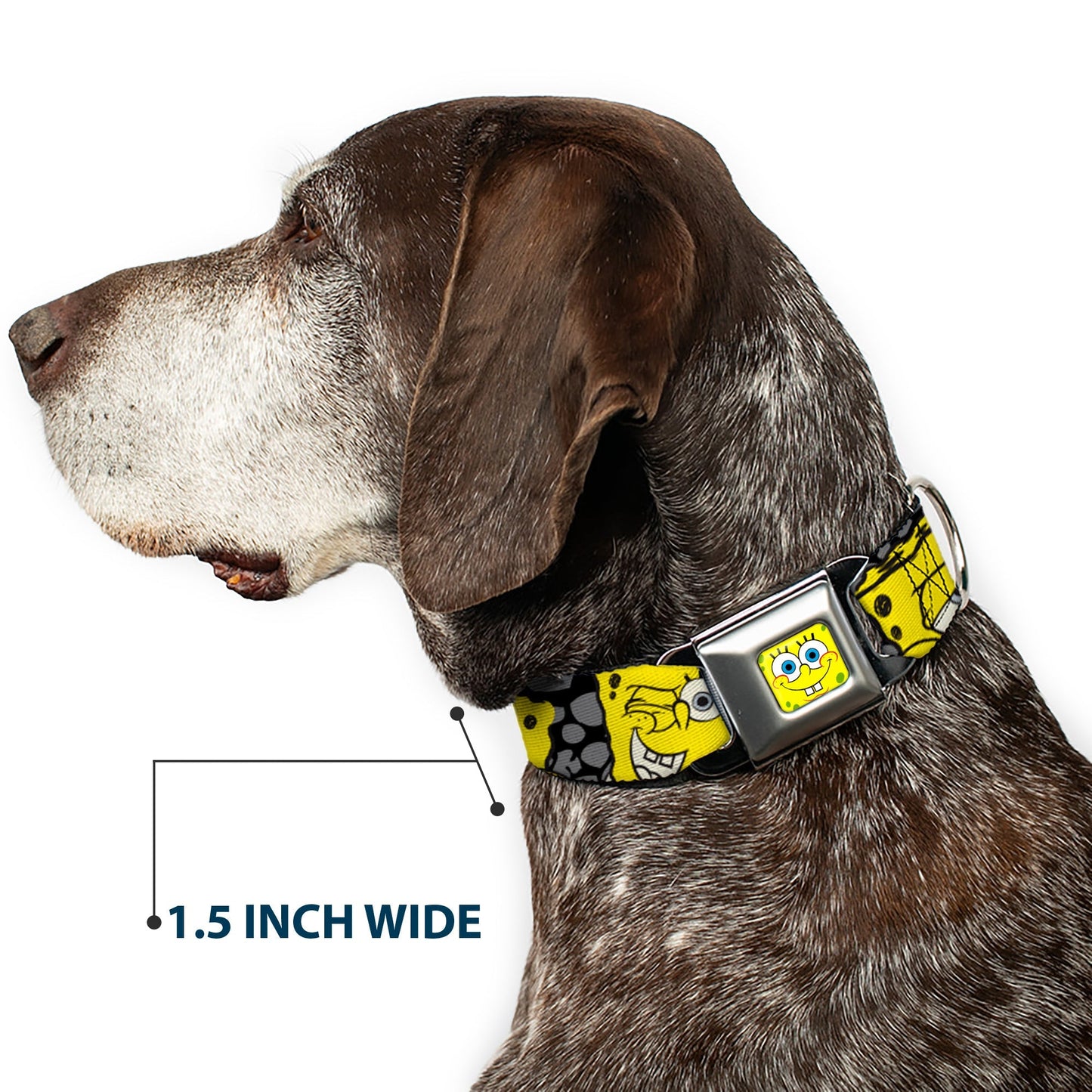 SpongeBob SquarePants Dog Collar Face Close - Up Seatbelt Buckle Black/Gray/Yellow - Paramount Shop