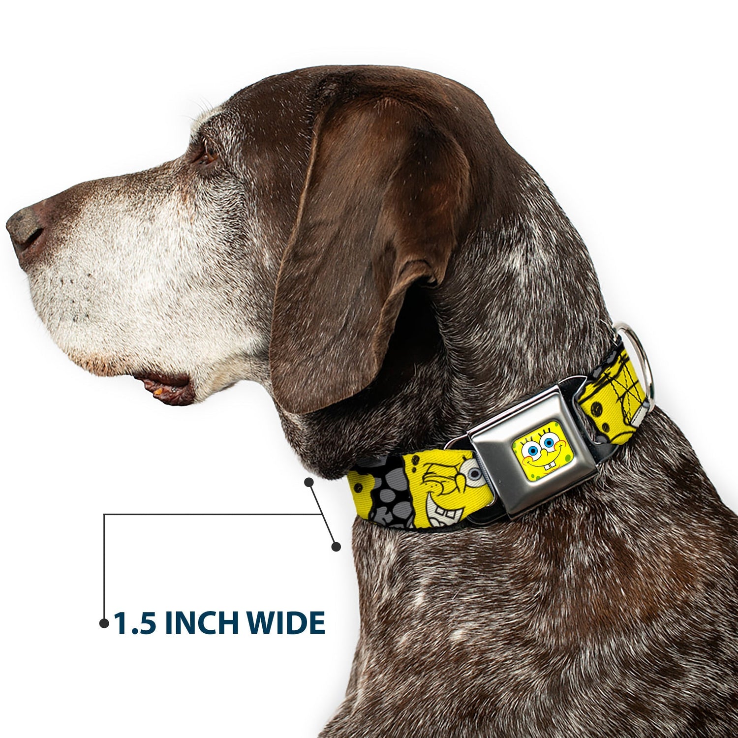 SpongeBob SquarePants Dog Collar Face Close - Up Seatbelt Buckle Black/Gray/Yellow - Paramount Shop