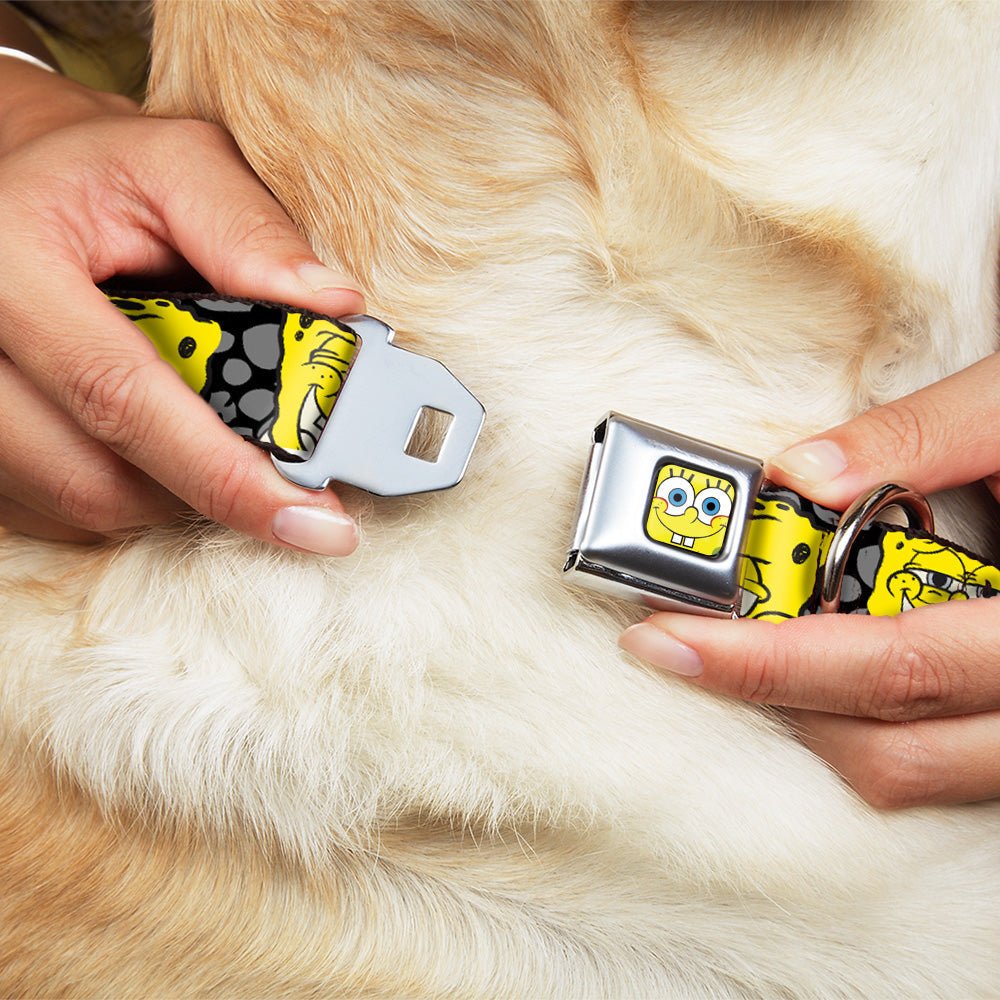SpongeBob SquarePants Dog Collar Face Close - Up Seatbelt Buckle Black/Gray/Yellow - Paramount Shop