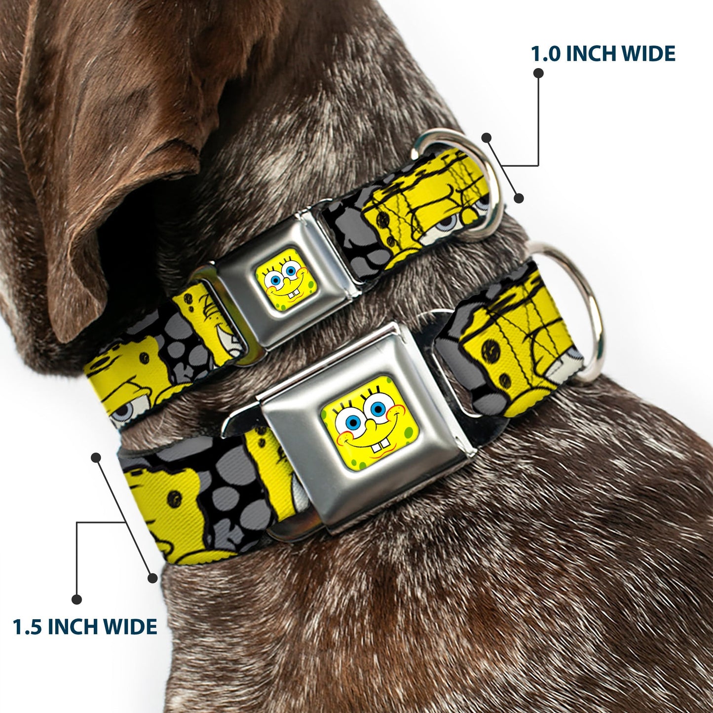 SpongeBob SquarePants Dog Collar Face Close - Up Seatbelt Buckle Black/Gray/Yellow - Paramount Shop