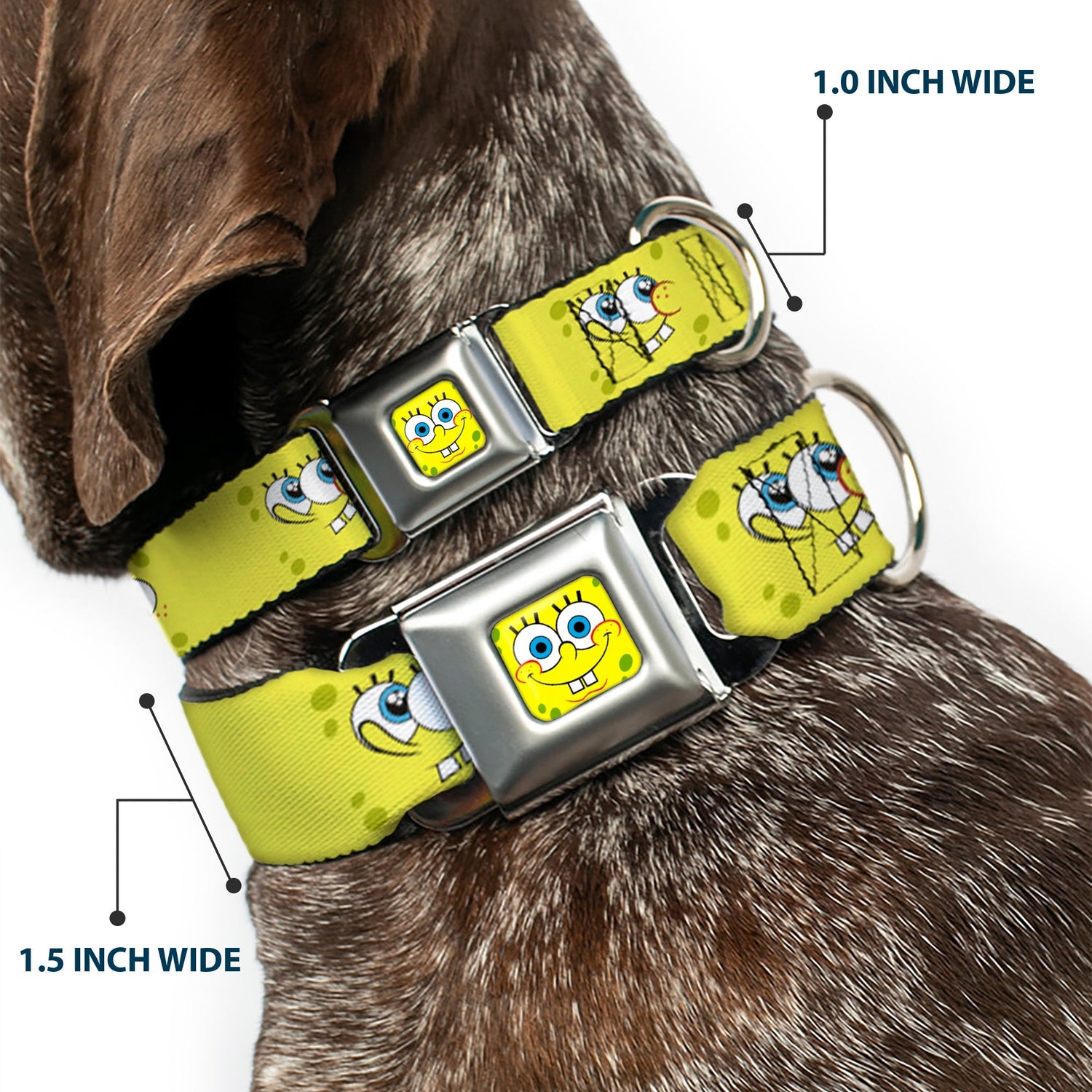 SpongeBob SquarePants Dog Collar Face Close - Up Seatbelt Buckle Yellow - Paramount Shop