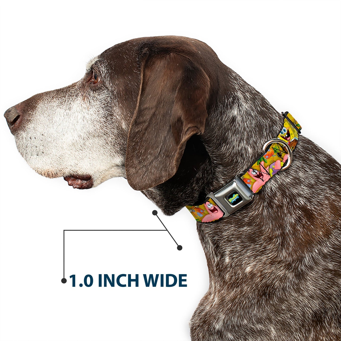 SpongeBob SquarePants Dog Collar Full Color SpongeBob & Patrick Poses Seatbelt Buckle Black - Paramount Shop