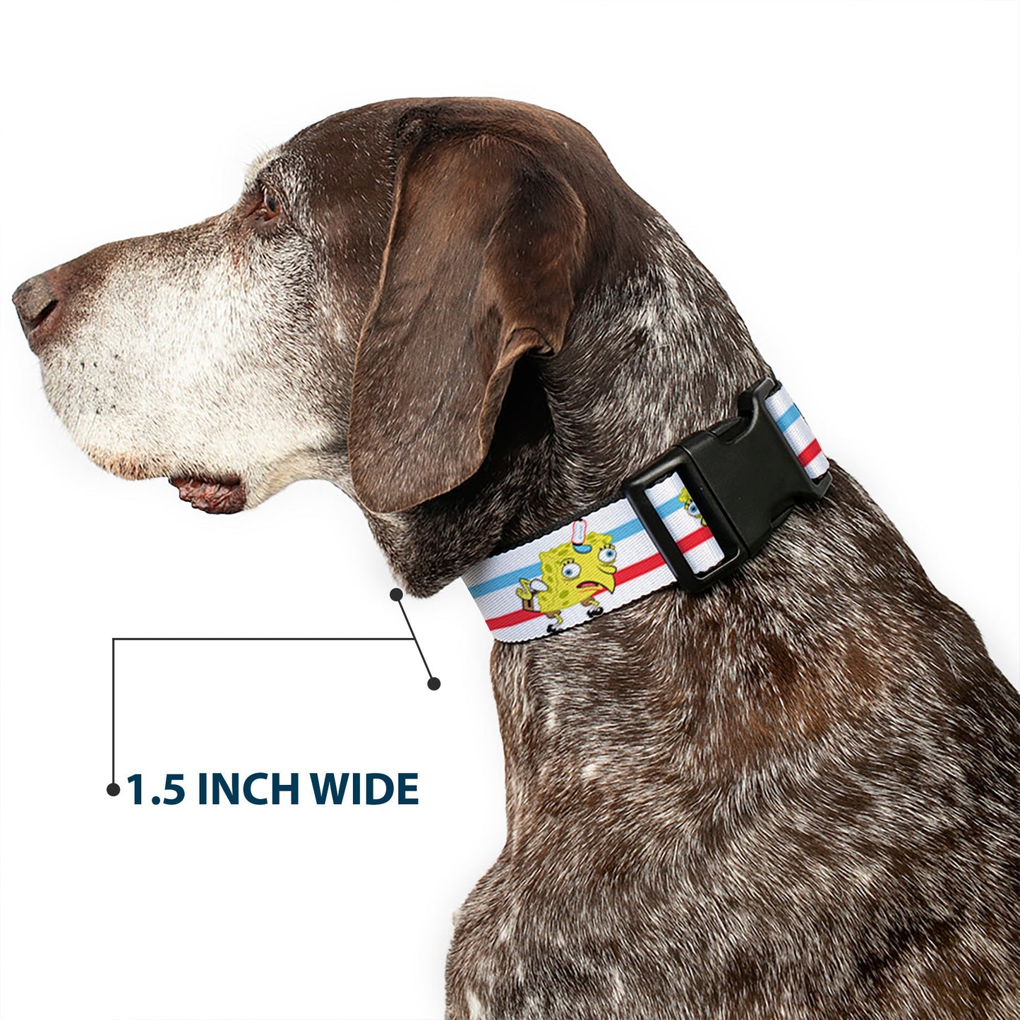 SpongeBob SquarePants Dog Collar Mocking Pose Stripe White/Blue/Red Plastic Clip - Paramount Shop