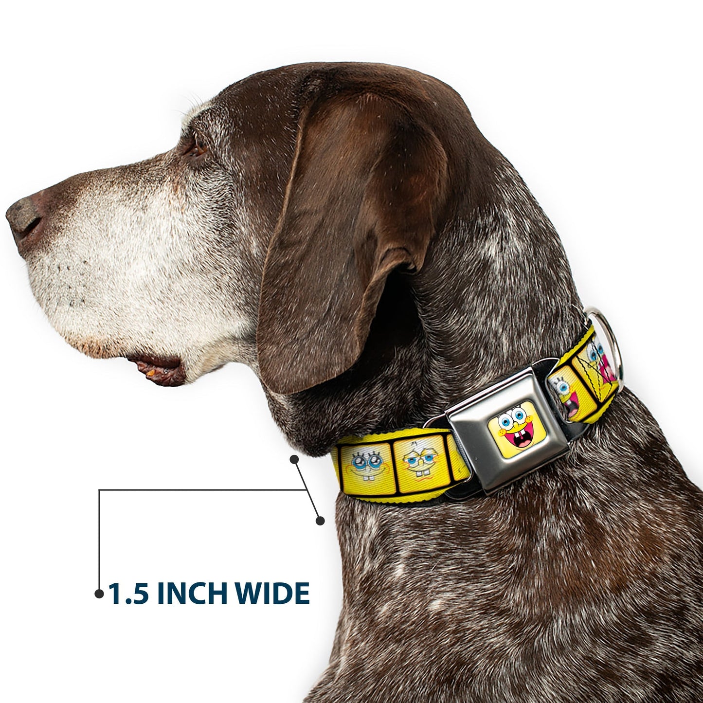 SpongeBob SquarePants Dog Collar Open Mouth Smile Seatbelt Buckle Yellow - Paramount Shop