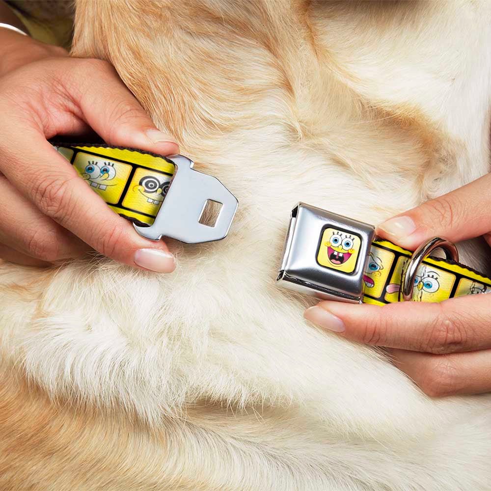 SpongeBob SquarePants Dog Collar Open Mouth Smile Seatbelt Buckle Yellow - Paramount Shop