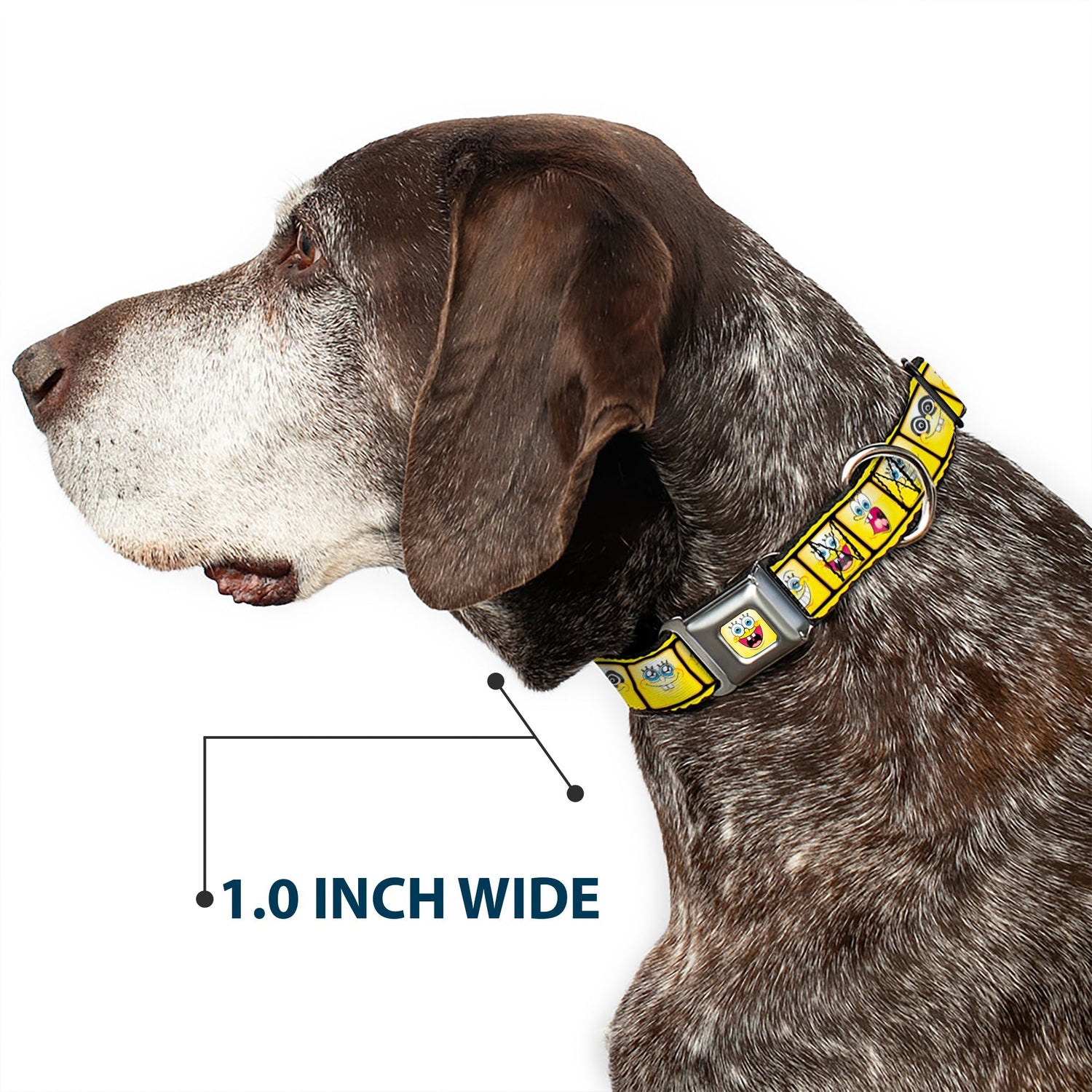 SpongeBob SquarePants Dog Collar Open Mouth Smile Seatbelt Buckle Yellow - Paramount Shop