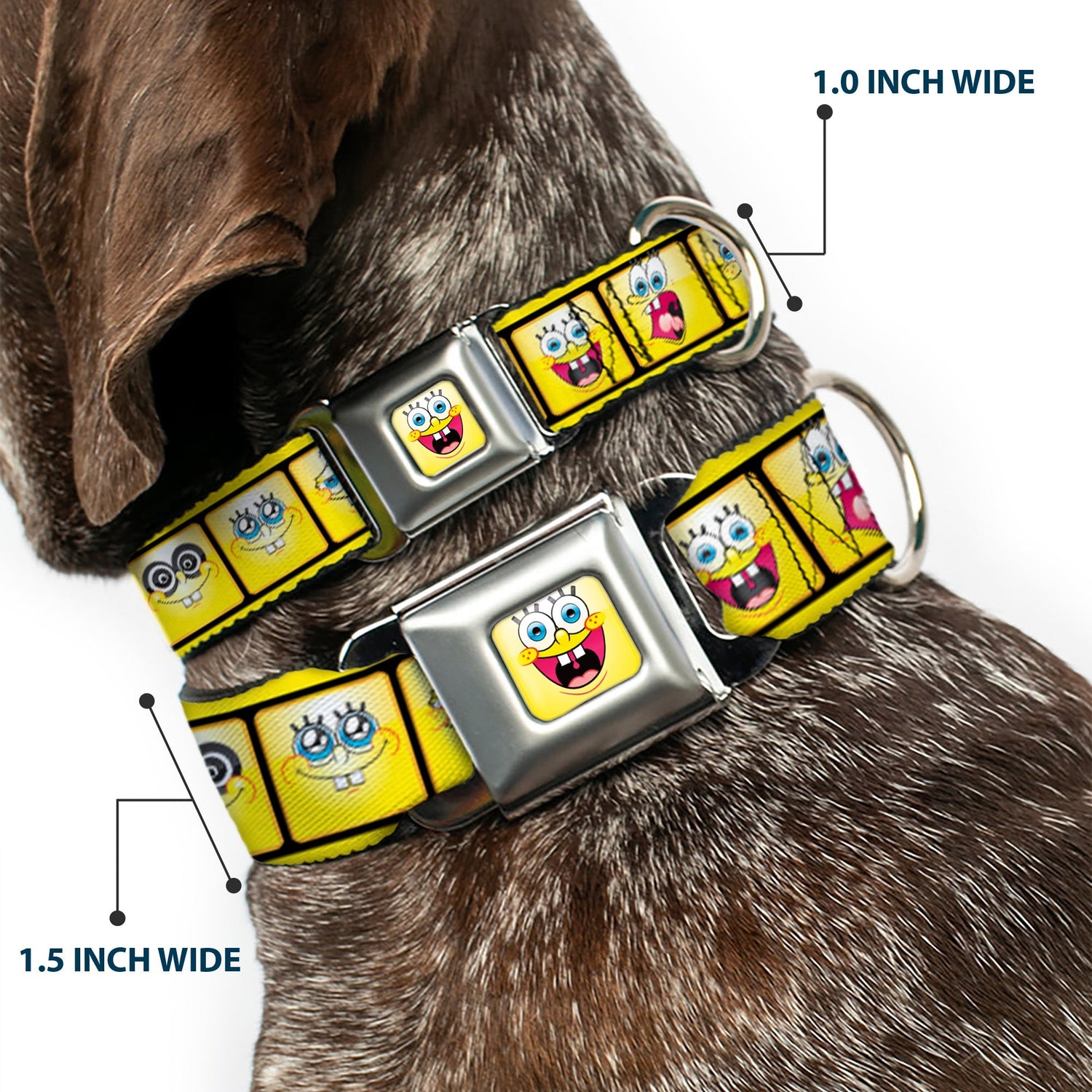 SpongeBob SquarePants Dog Collar Open Mouth Smile Seatbelt Buckle Yellow - Paramount Shop