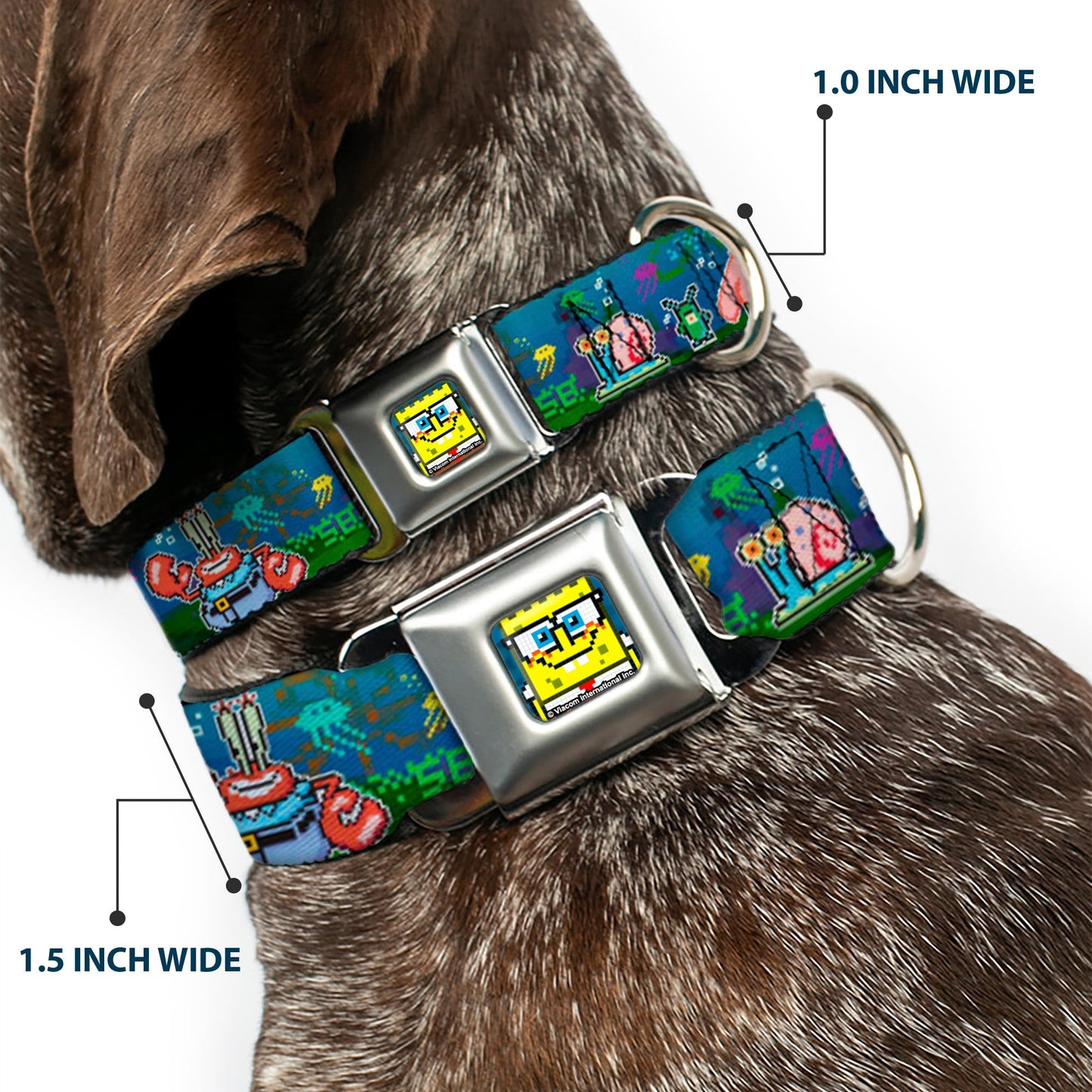 SpongeBob SquarePants Dog Collar Pixelated Nerd Pose 8 - Bit Scene Full Color Blue - Paramount Shop