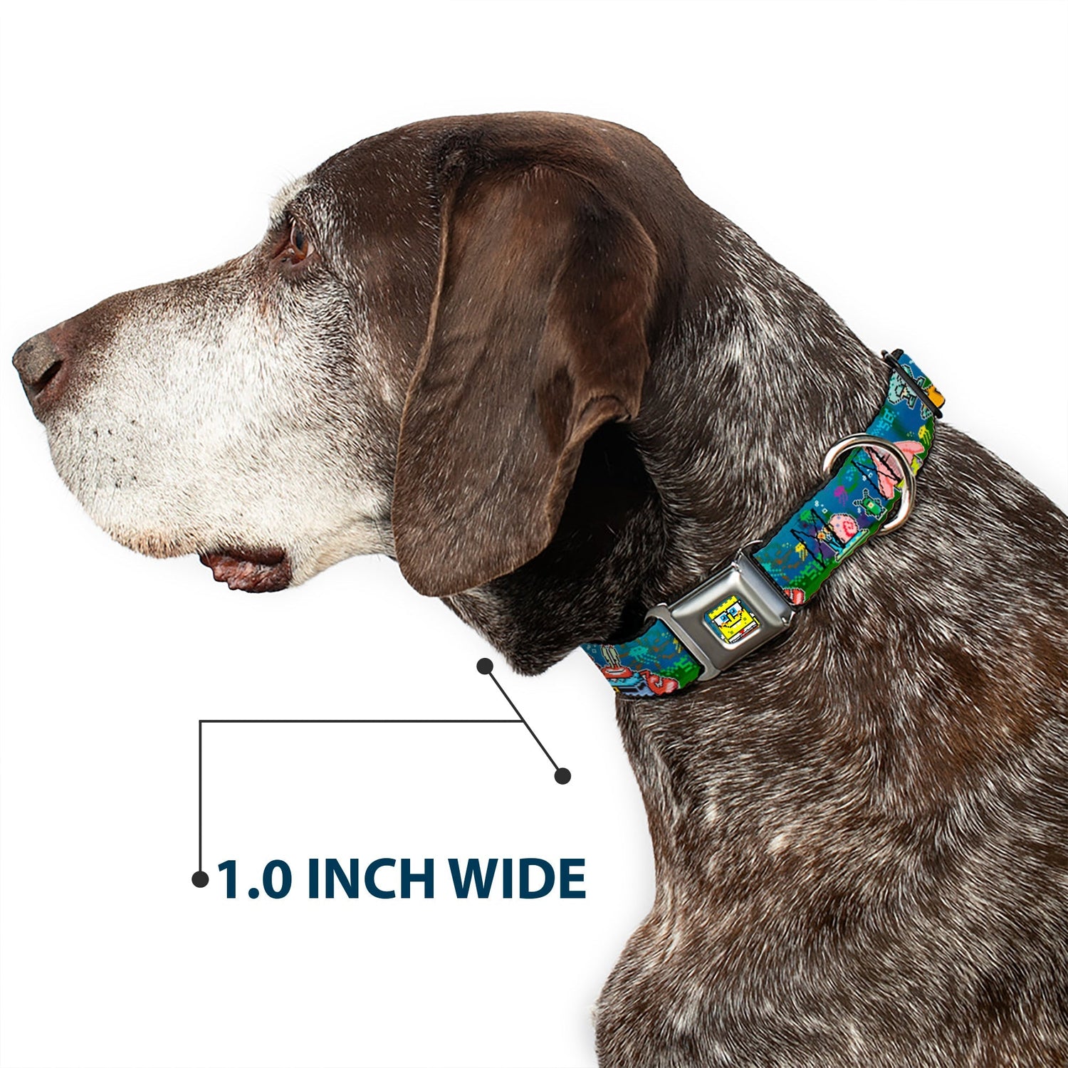 SpongeBob SquarePants Dog Collar Pixelated Nerd Pose 8 - Bit Scene Full Color Blue - Paramount Shop