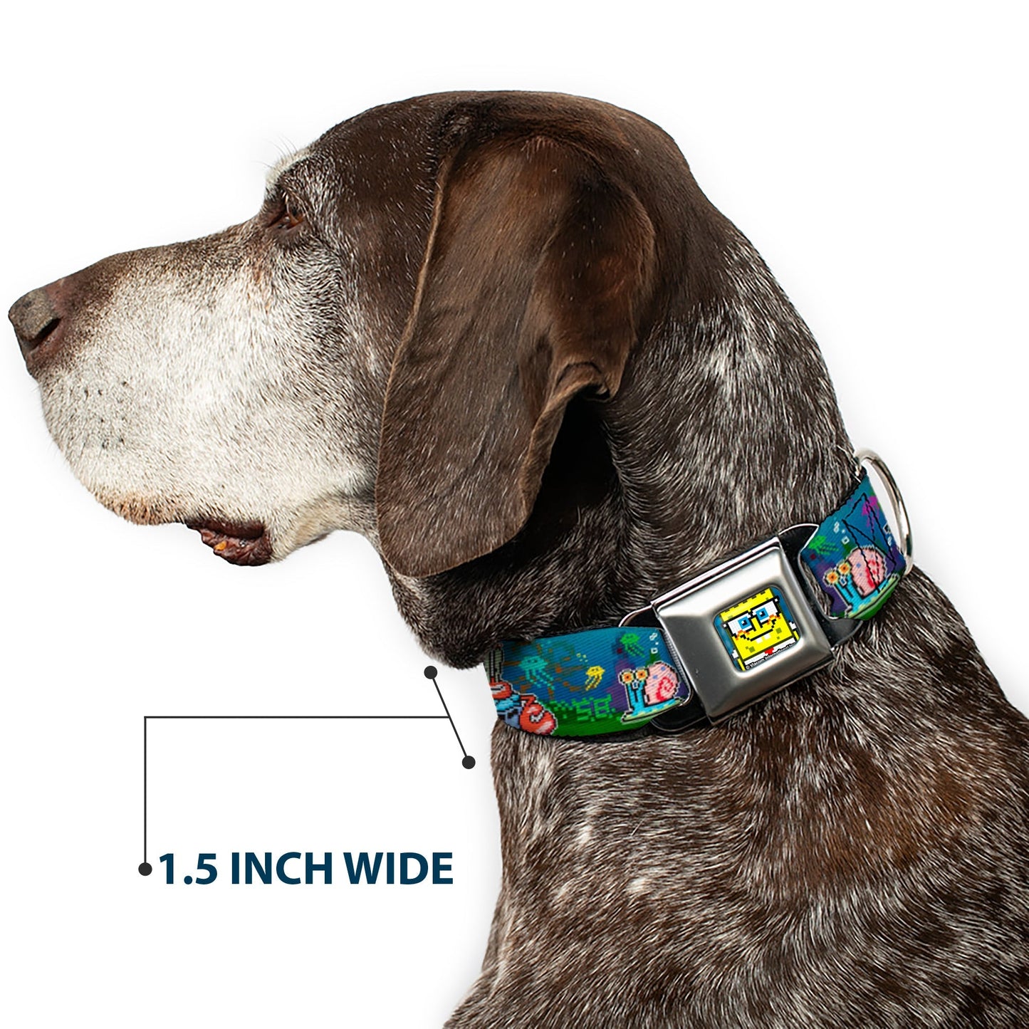 SpongeBob SquarePants Dog Collar Pixelated Nerd Pose 8 - Bit Scene Full Color Blue - Paramount Shop