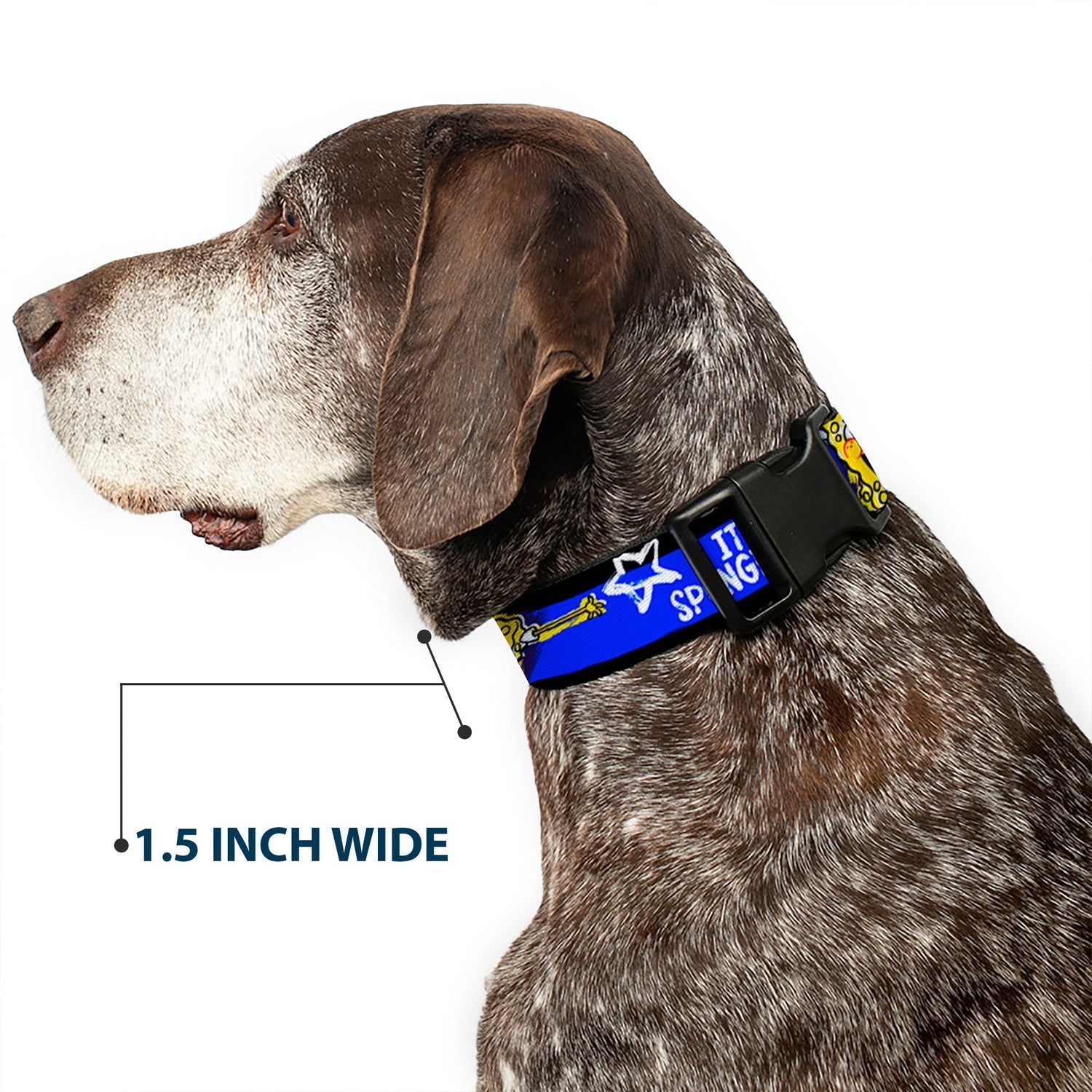 SpongeBob SquarePants Dog Collar Pose It's SpongeBob! Stripe Plastic Clip Black/Blue/White - Paramount Shop