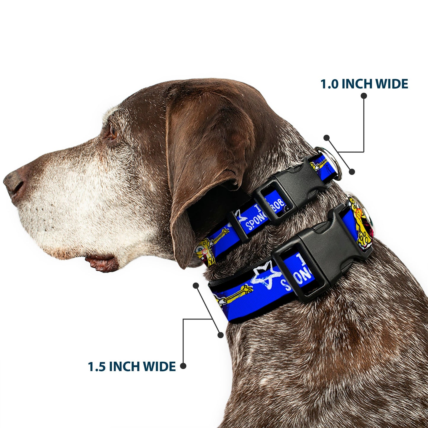 SpongeBob SquarePants Dog Collar Pose It's SpongeBob! Stripe Plastic Clip Black/Blue/White - Paramount Shop