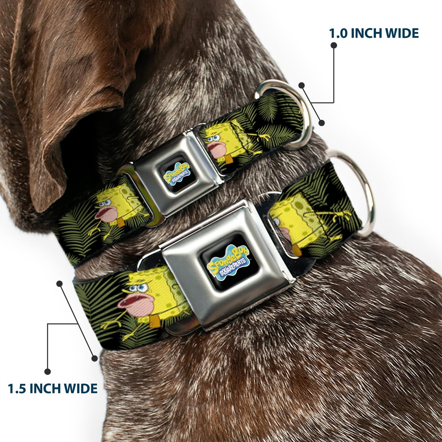 SpongeBob SquarePants Dog Collar Primitive Sponge Pose Full Color Seatbelt Buckle Black Green - Paramount Shop