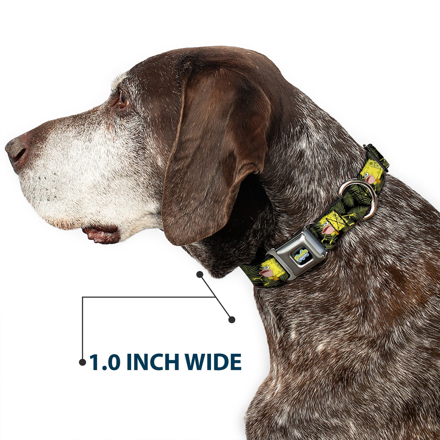 SpongeBob SquarePants Dog Collar Primitive Sponge Pose Full Color Seatbelt Buckle Black Green - Paramount Shop