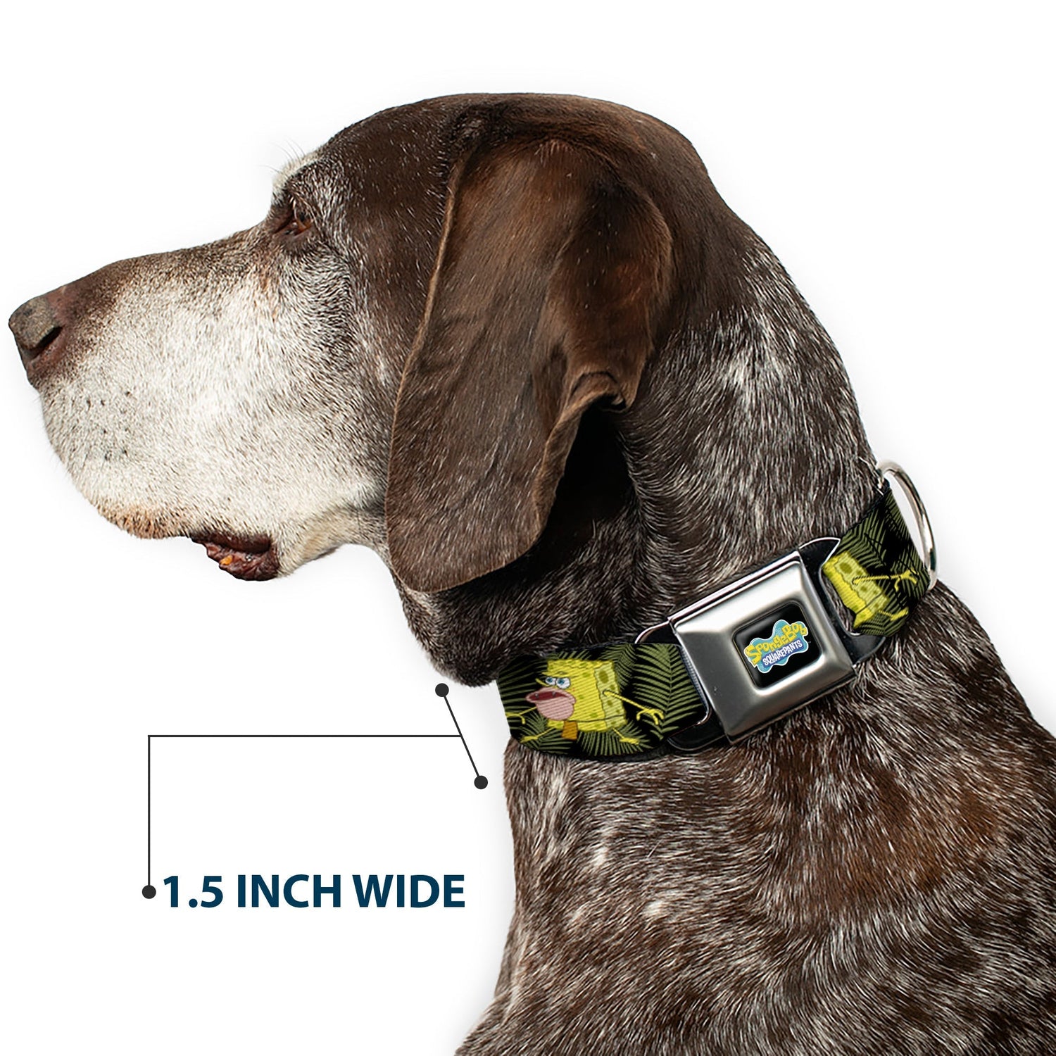SpongeBob SquarePants Dog Collar Primitive Sponge Pose Full Color Seatbelt Buckle Black Green - Paramount Shop