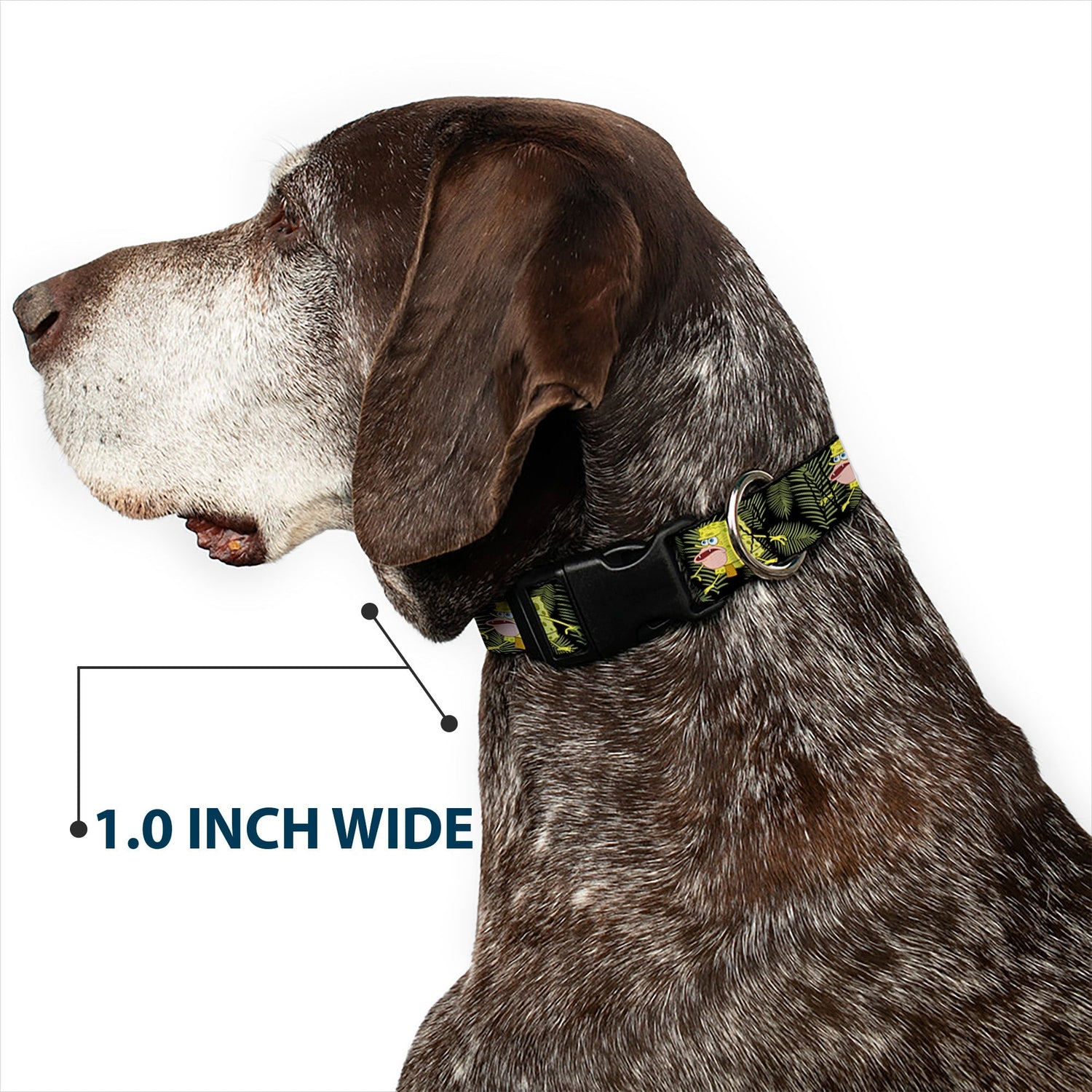 SpongeBob SquarePants Dog Collar Primitive Sponge Pose Leaves Plastic Clip Black/Green - Paramount Shop