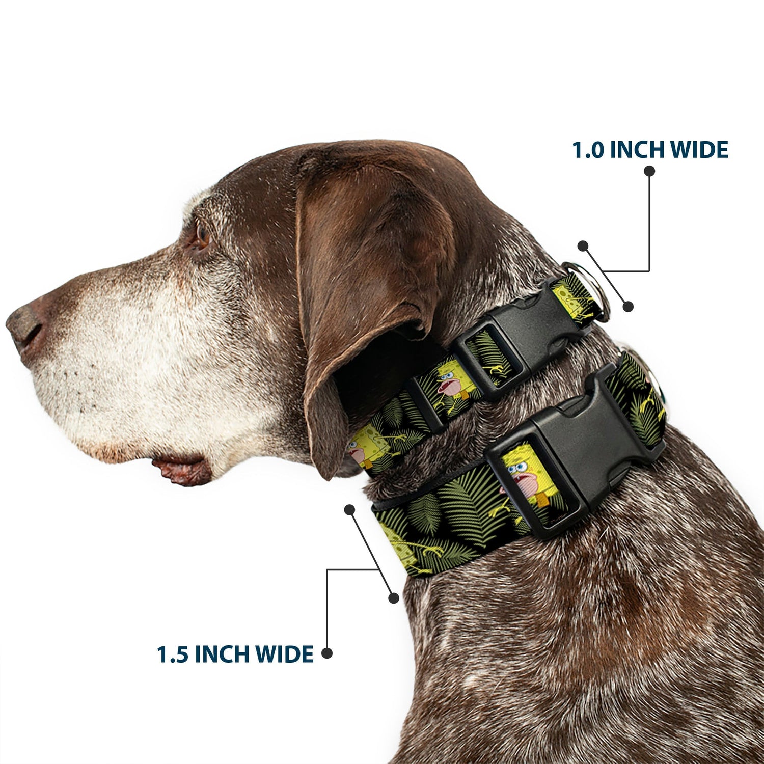 SpongeBob SquarePants Dog Collar Primitive Sponge Pose Leaves Plastic Clip Black/Green - Paramount Shop