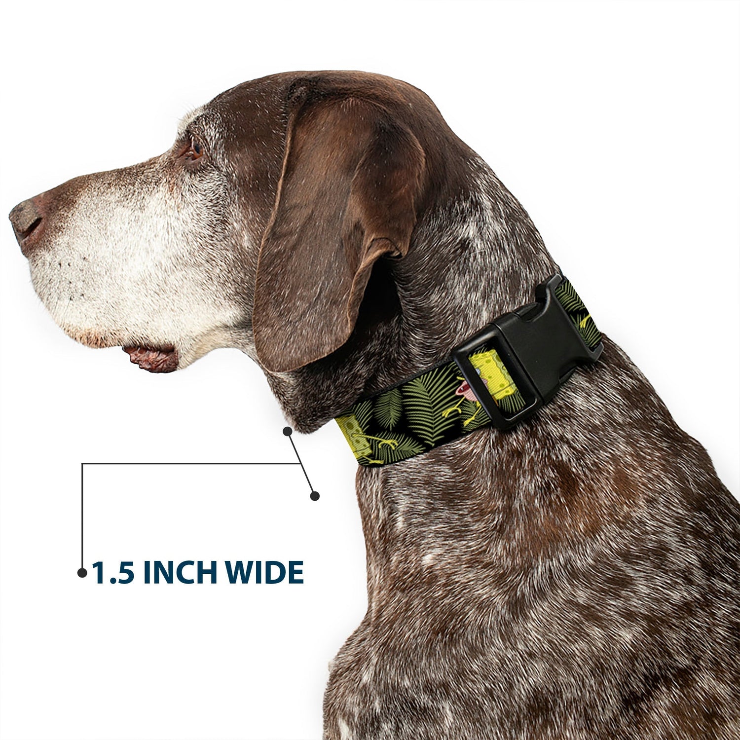 SpongeBob SquarePants Dog Collar Primitive Sponge Pose Leaves Plastic Clip Black/Green - Paramount Shop