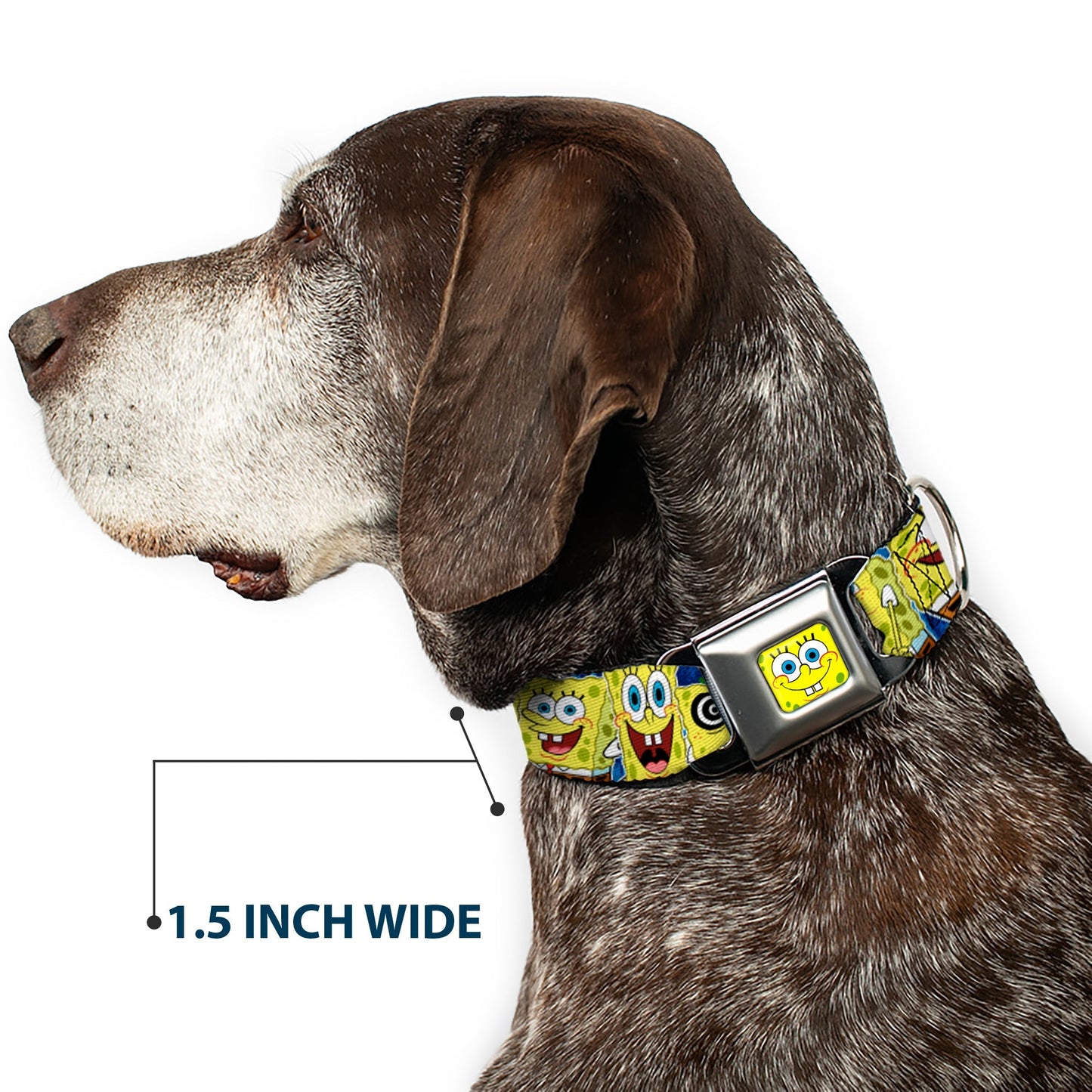 SpongeBob SquarePants Dog Collar SpongeBob Face Close - Up Expressions Stripe Seatbelt Buckle Blue - Paramount Shop