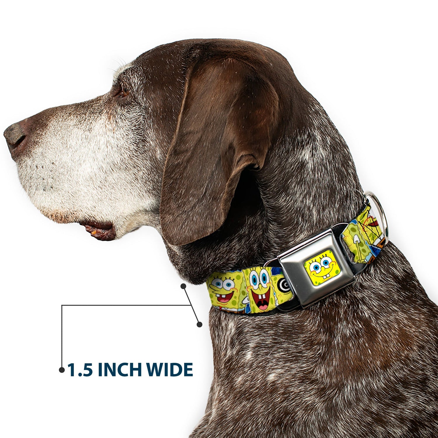 SpongeBob SquarePants Dog Collar SpongeBob Face Close - Up Expressions Stripe Seatbelt Buckle Blue - Paramount Shop