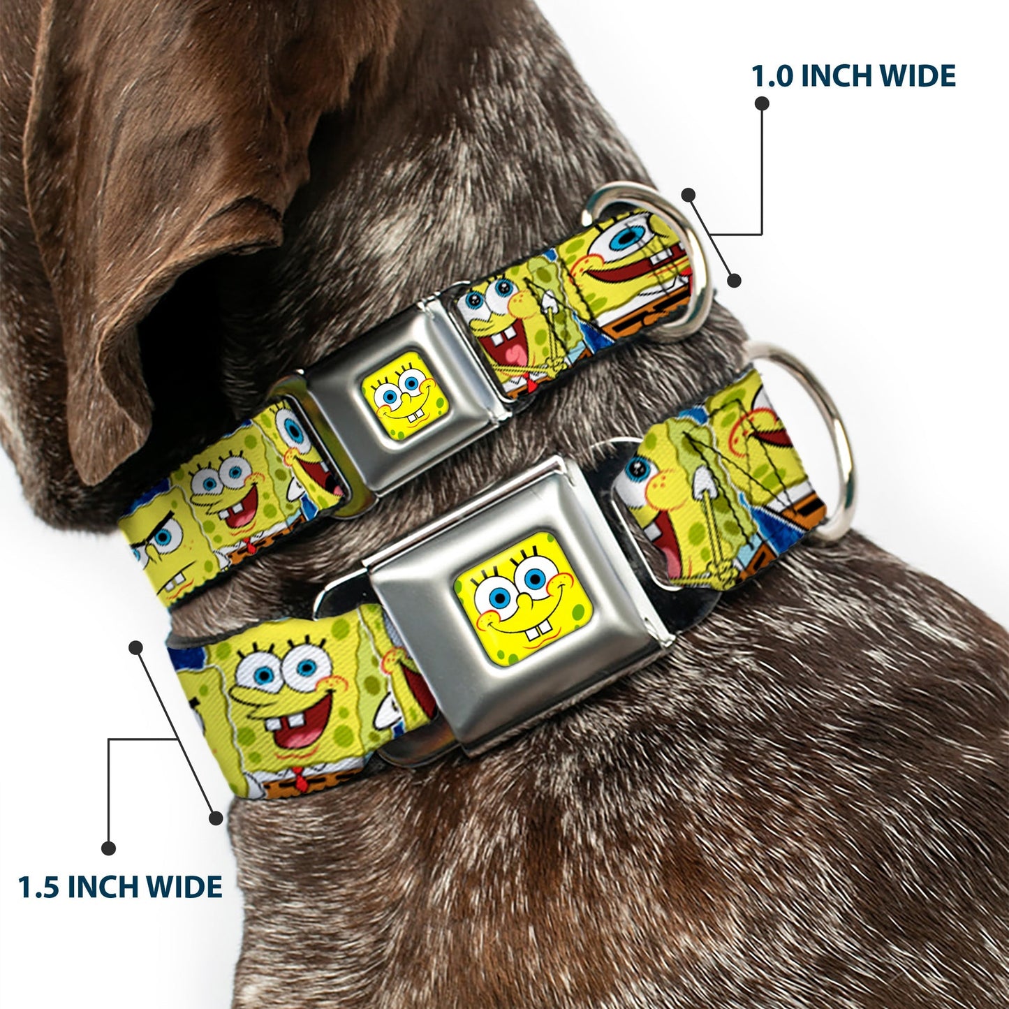 SpongeBob SquarePants Dog Collar SpongeBob Face Close - Up Expressions Stripe Seatbelt Buckle Blue - Paramount Shop