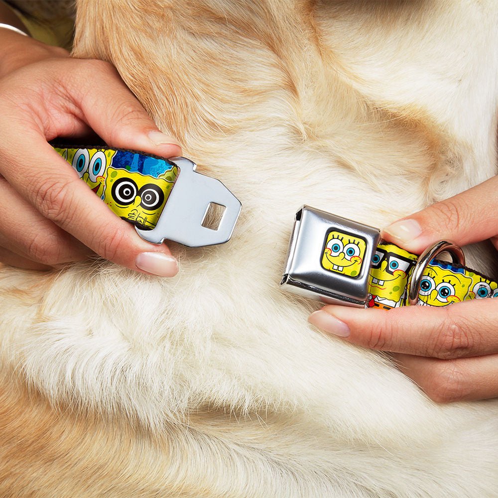SpongeBob SquarePants Dog Collar SpongeBob Face Close - Up Expressions Stripe Seatbelt Buckle Blue - Paramount Shop