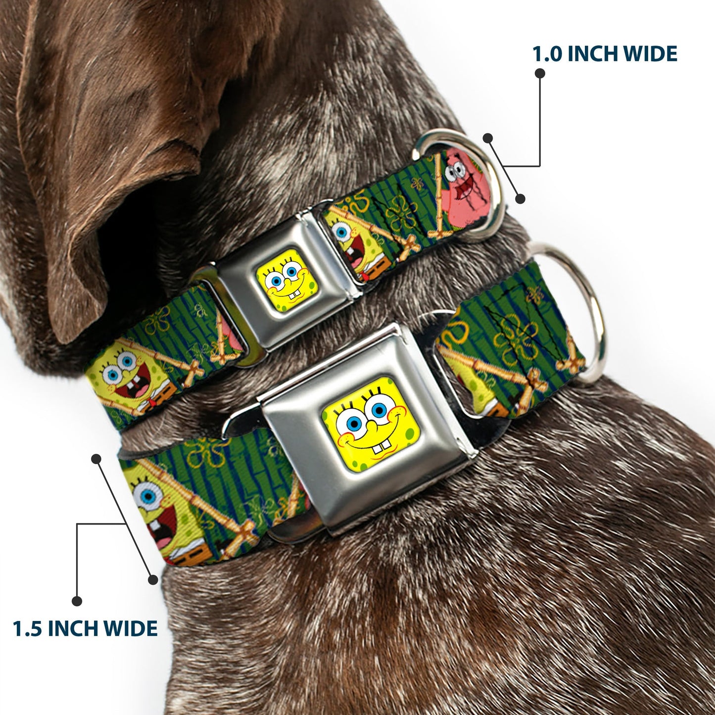 SpongeBob SquarePants Dog Collar SpongeBob Face Close - Up Full Color Seatbelt Buckle - Paramount Shop
