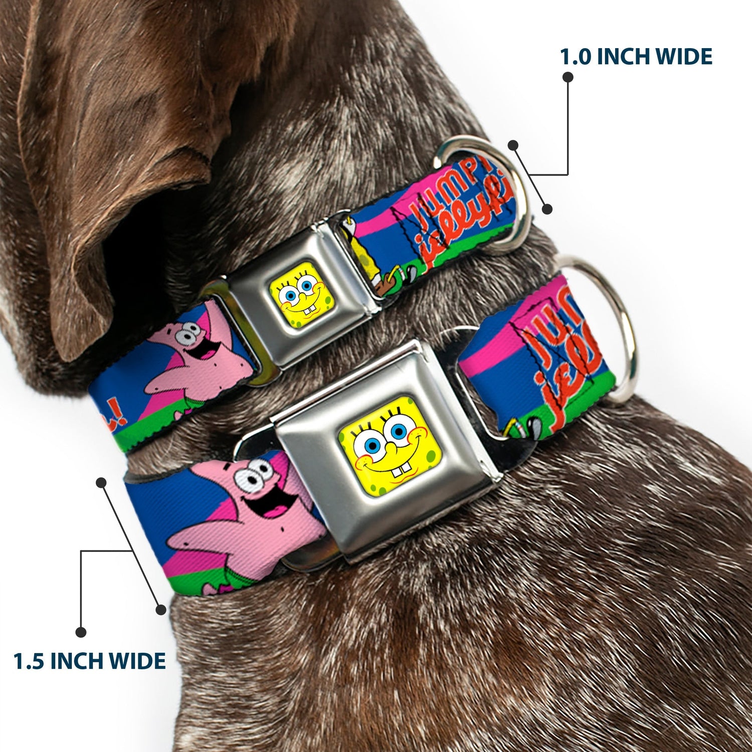 SpongeBob SquarePants Dog Collar SpongeBob Face Close - Up Jumpin' Jellyfish Multi - Color Seatbelt Buckle - Paramount Shop