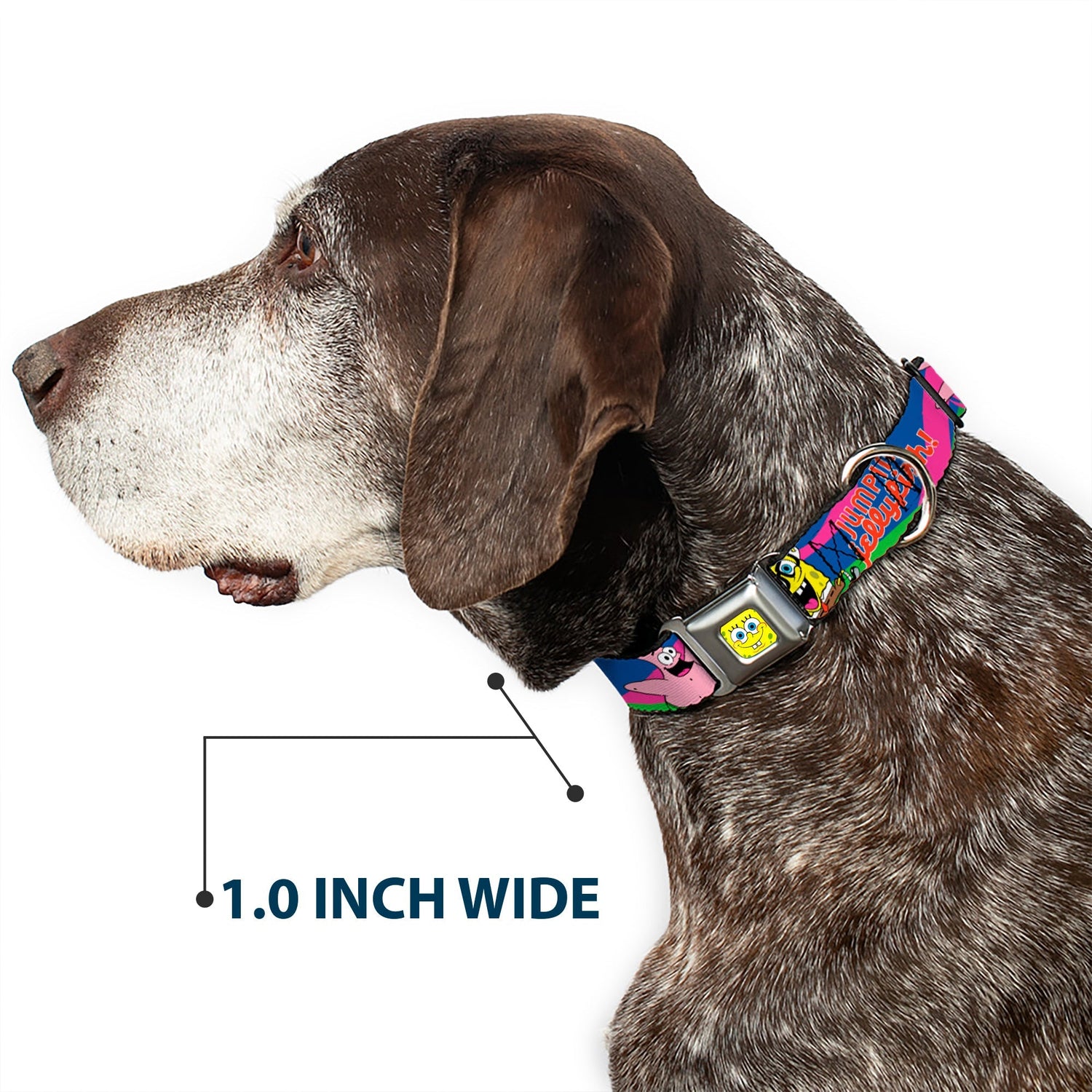 SpongeBob SquarePants Dog Collar SpongeBob Face Close - Up Jumpin' Jellyfish Multi - Color Seatbelt Buckle - Paramount Shop