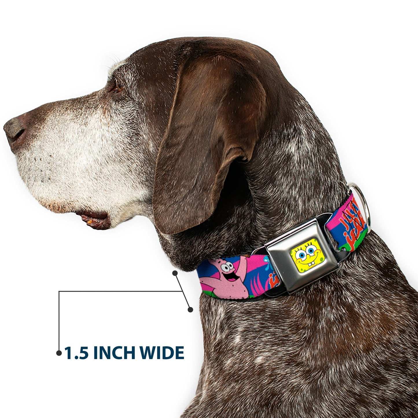 SpongeBob SquarePants Dog Collar SpongeBob Face Close - Up Jumpin' Jellyfish Multi - Color Seatbelt Buckle - Paramount Shop