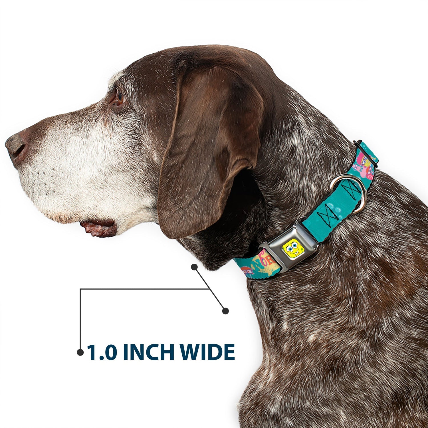 SpongeBob SquarePants Dog Collar SpongeBob Face Close - Up Seatbelt Buckle Aqua - Paramount Shop