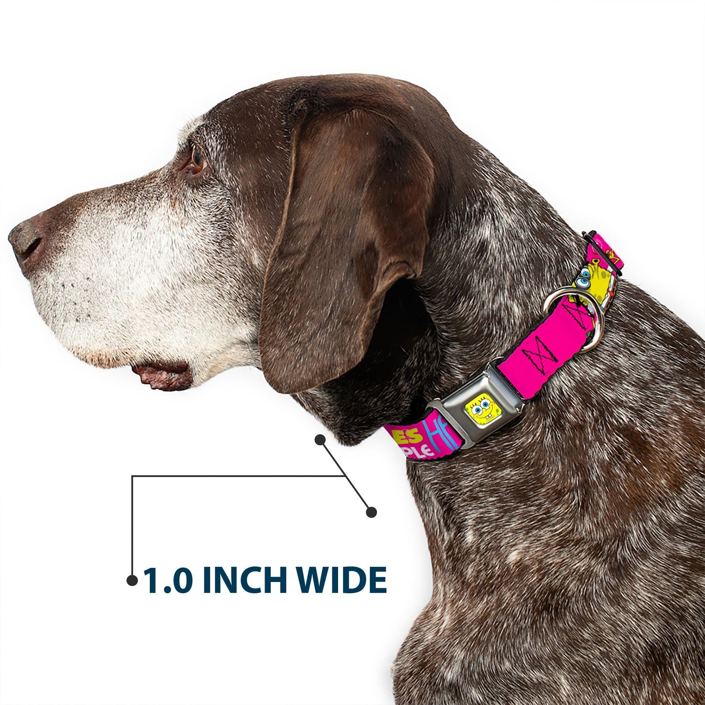 SpongeBob SquarePants Dog Collar SpongeBob Face Patrick Pose Bubbles Design Seatbelt Buckle Pink Yellow Blue - Paramount Shop